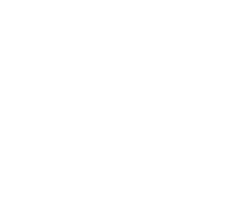 Bridle Trails Park Foundation