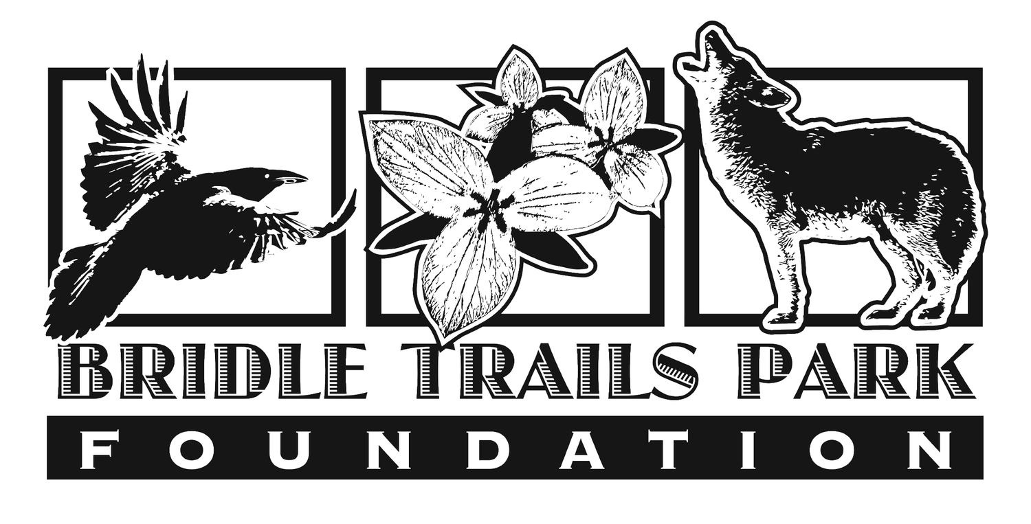 Bridle Trails Park Foundation