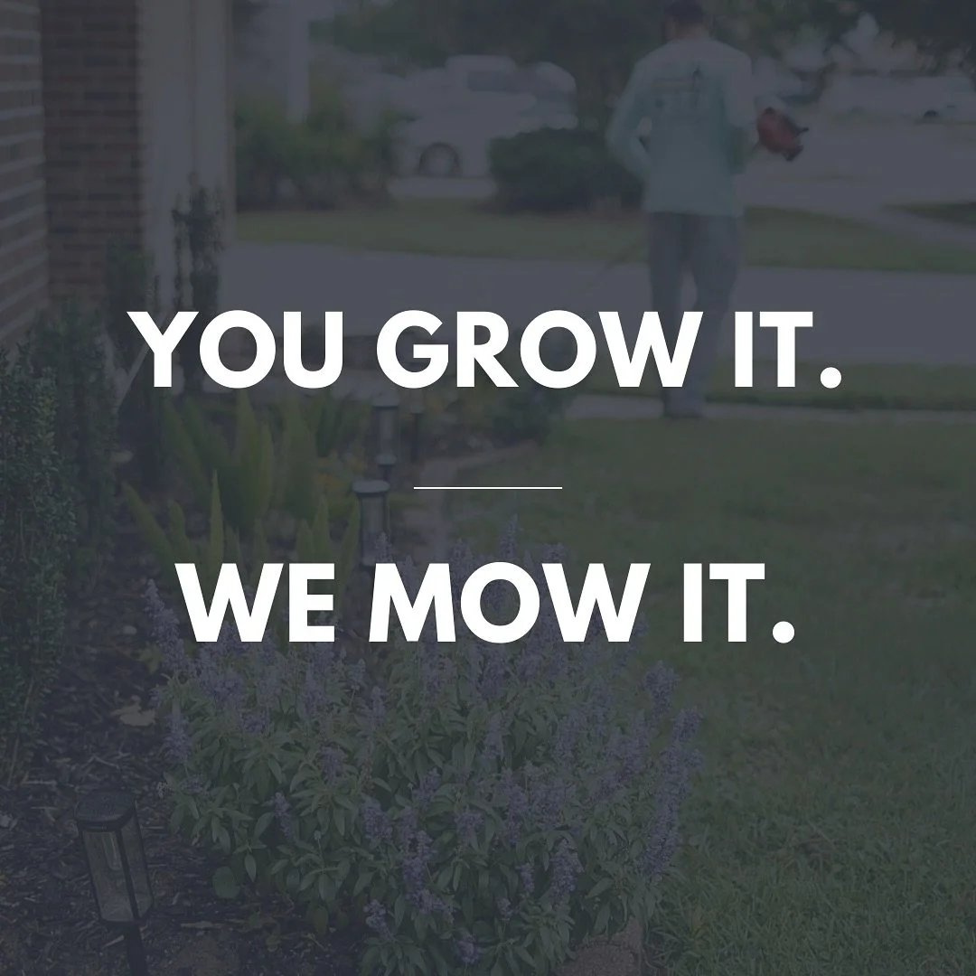 You know the drill🍃call or text (504) 273-9629 for a free estimate today! 

#landscaping #mowing #gardening #pressurewashing #guttercleaning #manscaping #smallbusiness
