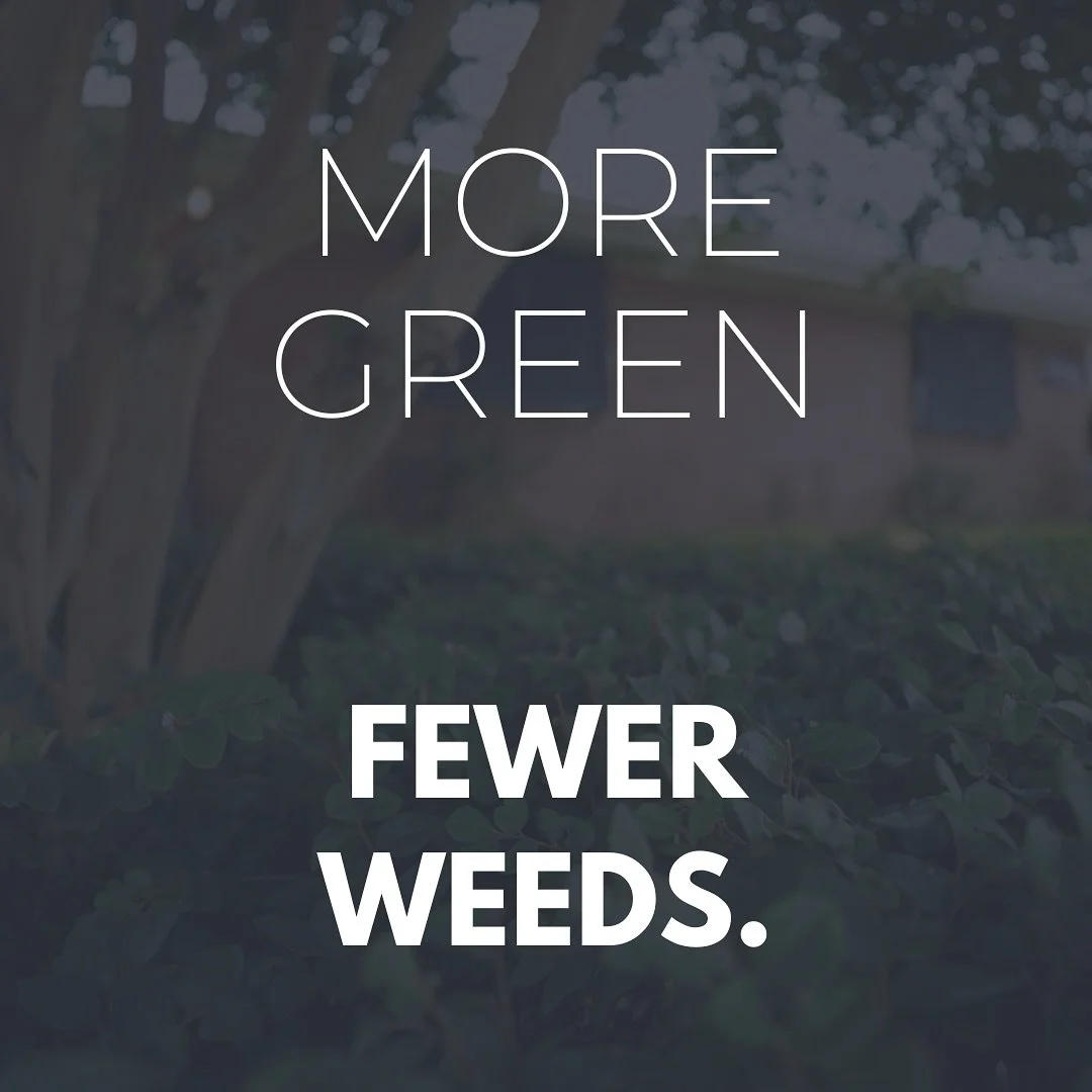 The grass is greener on our side🍃call or text (504)273-9629 for a free estimate today! 

#metairielandscaping #gardening #weedcontrol #smallbusiness #landscaping