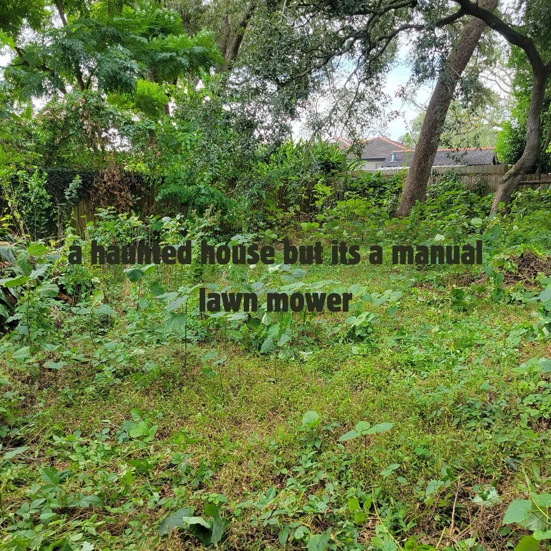 Thank god you have Manscaping so you can avoid these landscaping nightmares😉

#happyhalloween #manscaping #landscapingservices #gardening #mowing #smallbusiness