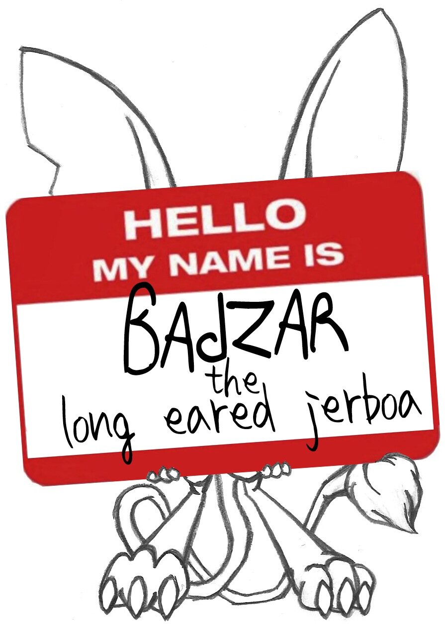 Hello-my-name-is-Badzar.jpg