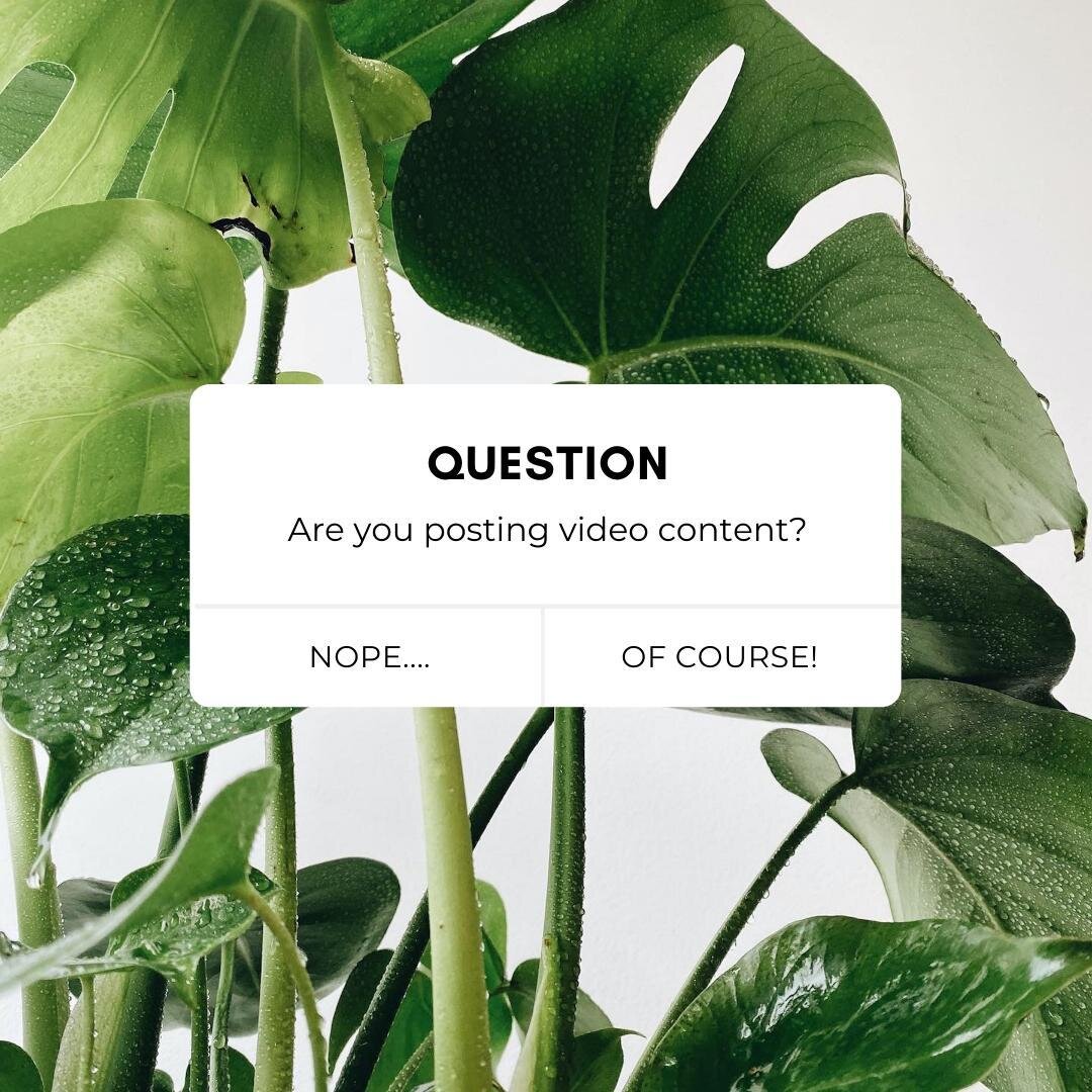 The question we all dread answering... 

Are you posting video content like Reels, TikToks, Instagram lives, IGTV, or just sharing your face on stories? 

Well, I'm here to say it's easier than you think and there is no need to stress about it!  List