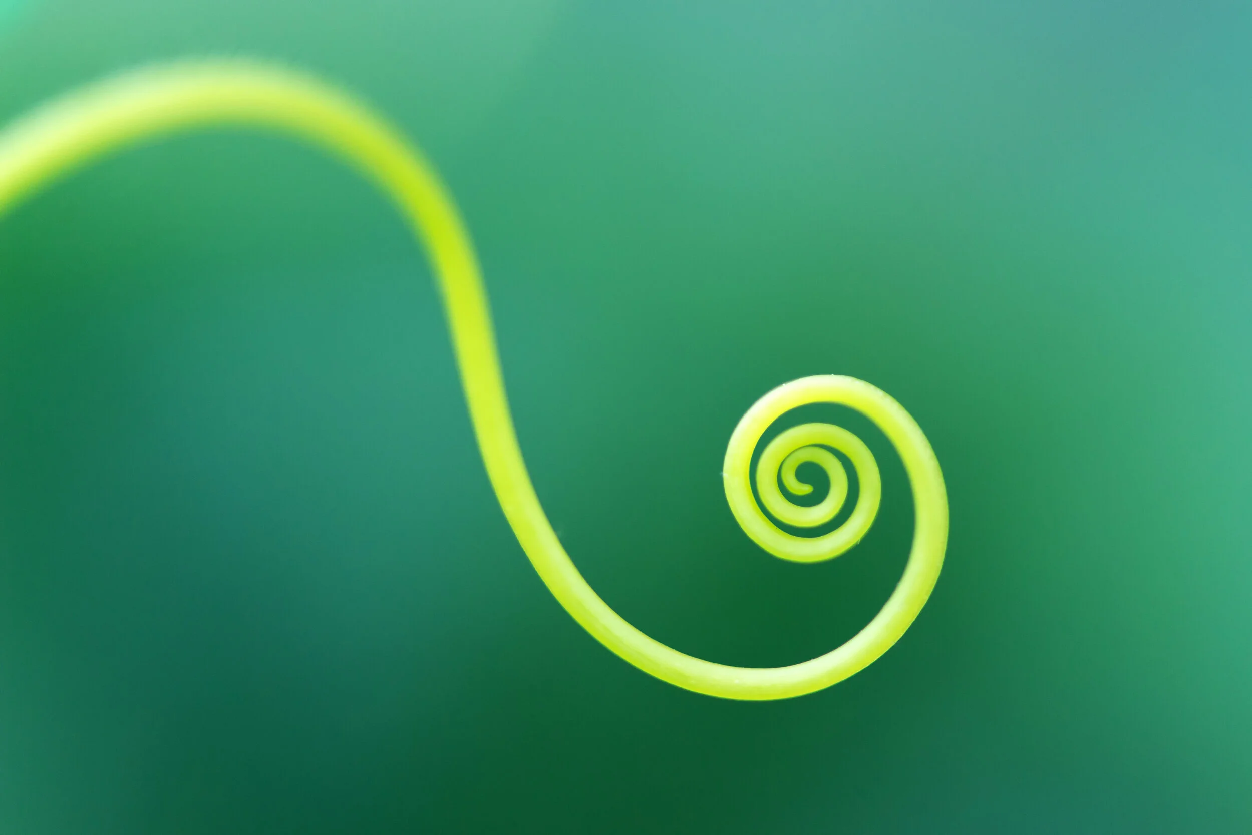 AdobeStock_300058030.jpeg