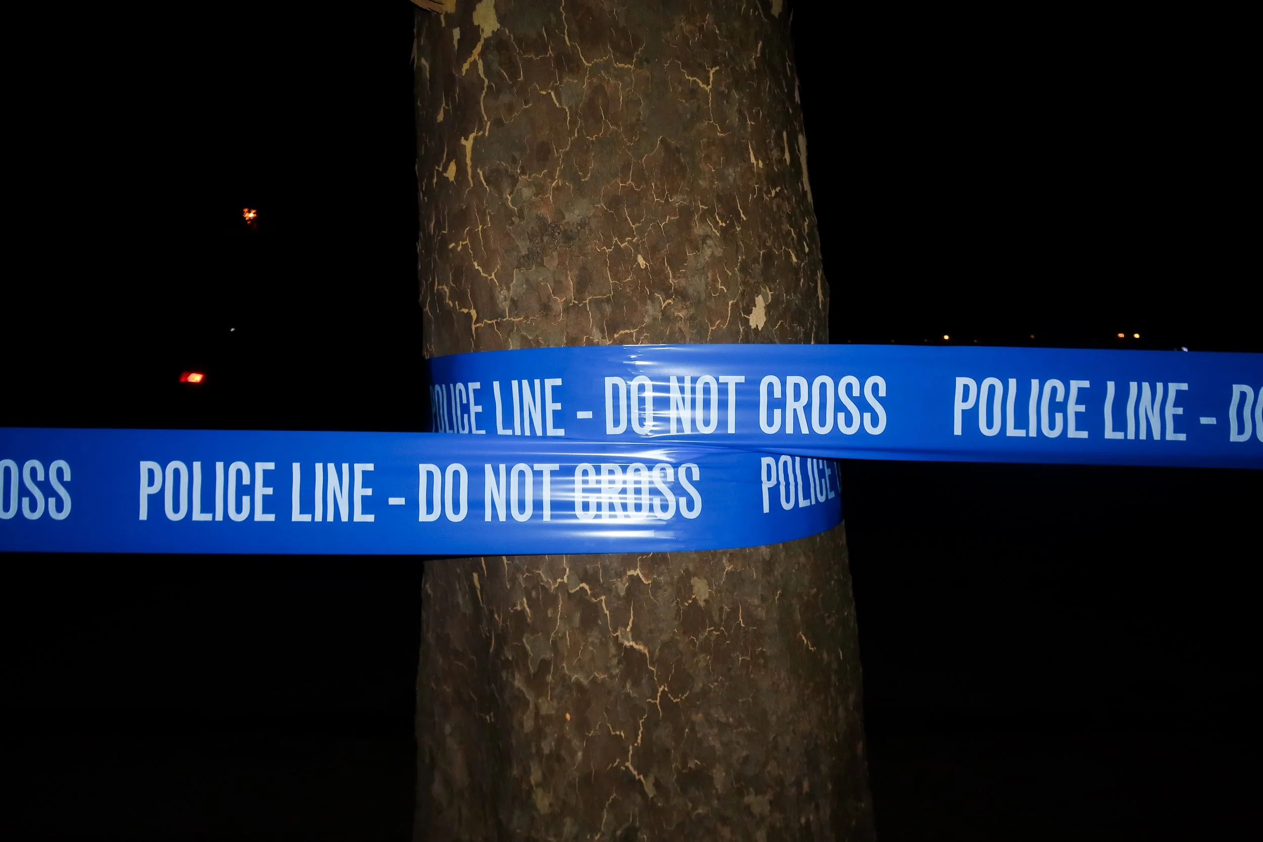 COPS AND TREES