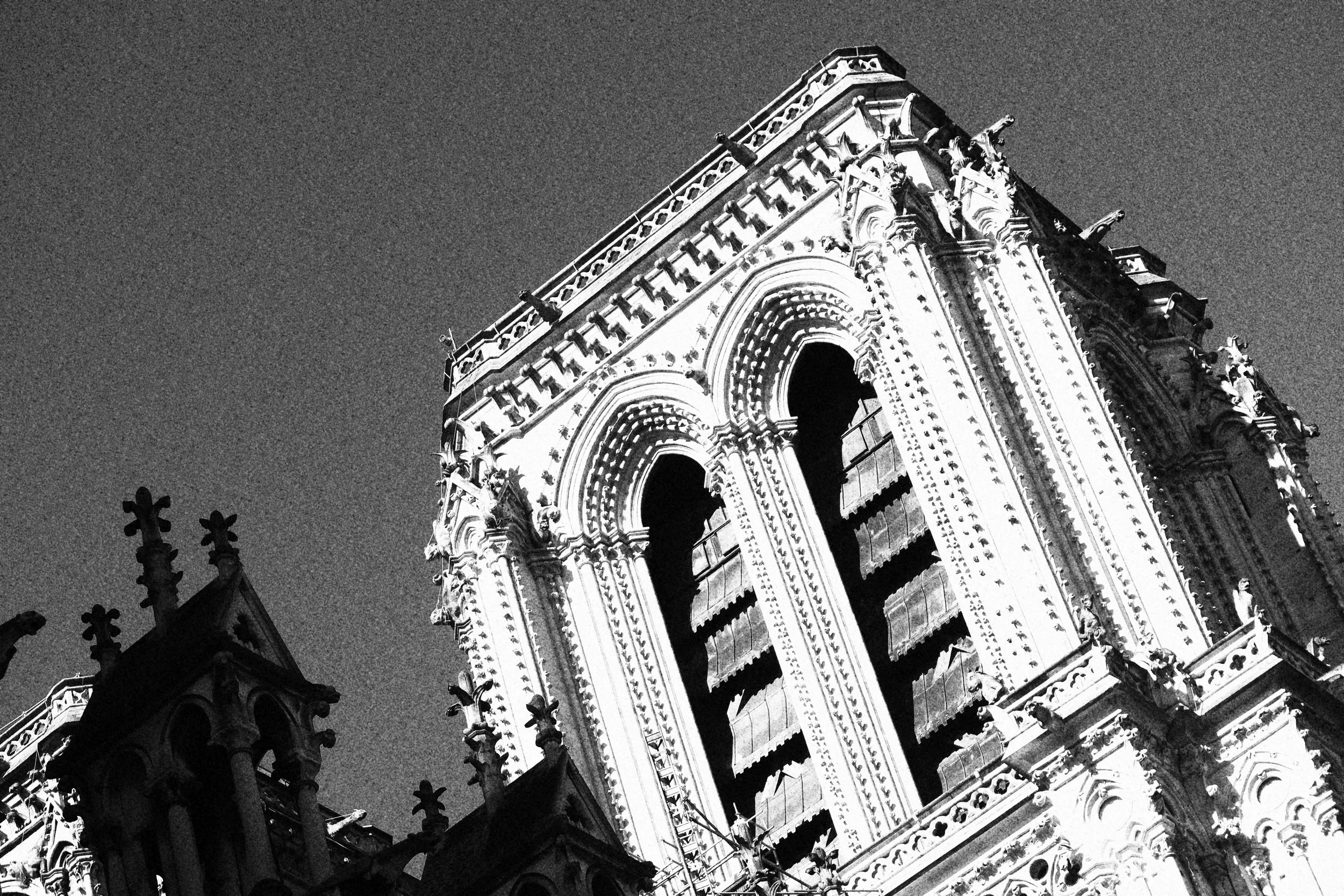 PARIS 3-25 VJGII-7062.jpg
