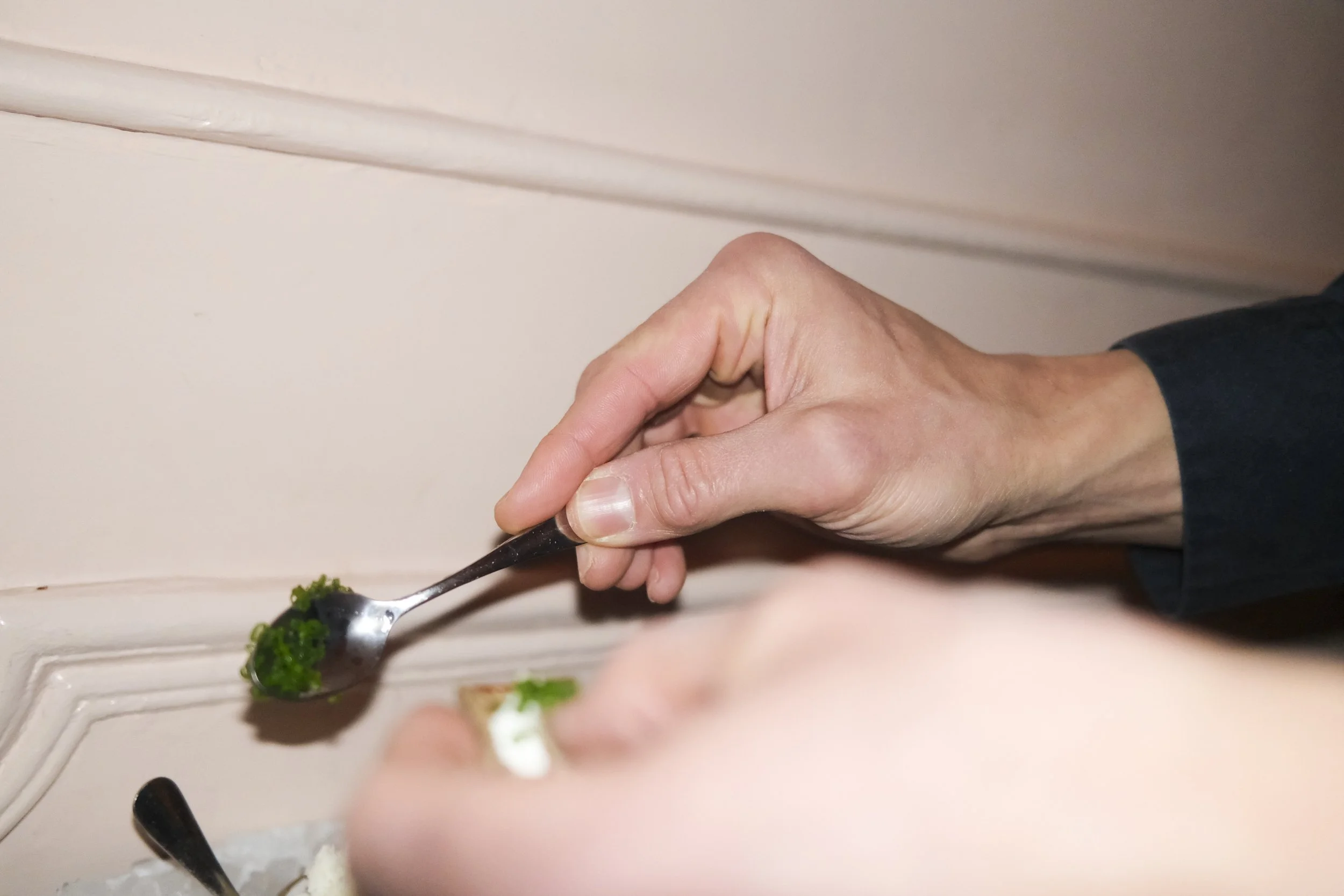 GBDAY VGJ II-5501.jpg