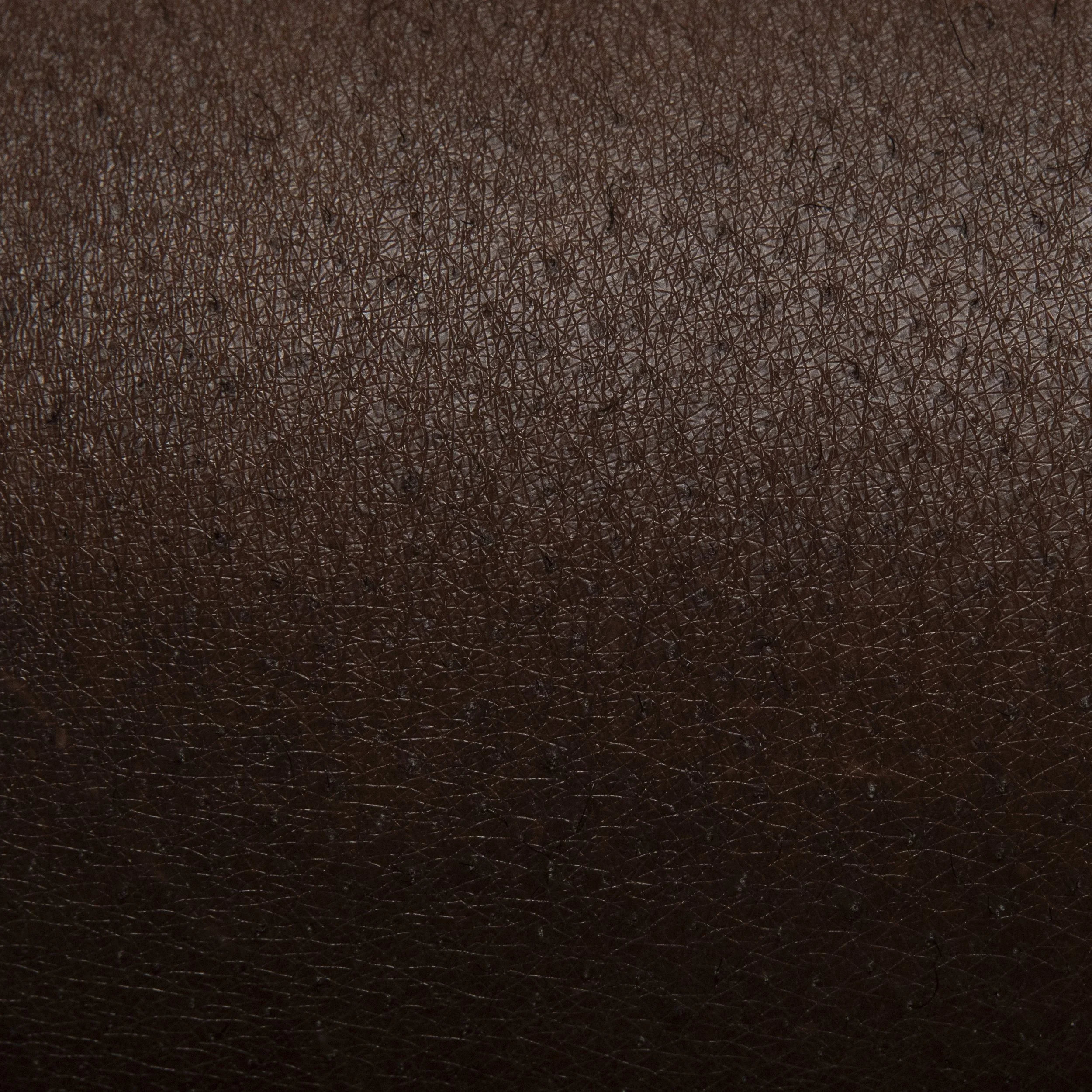 NILE SKIN VGJ II-6463.jpg