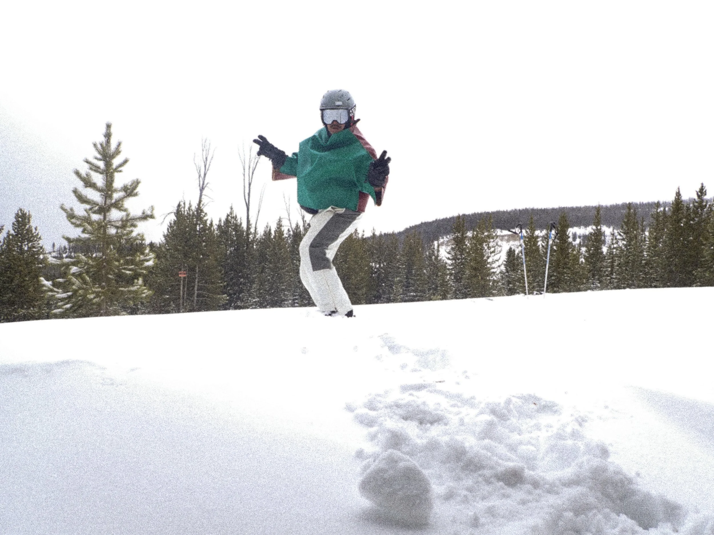 YC VGJ II-2090253.jpg