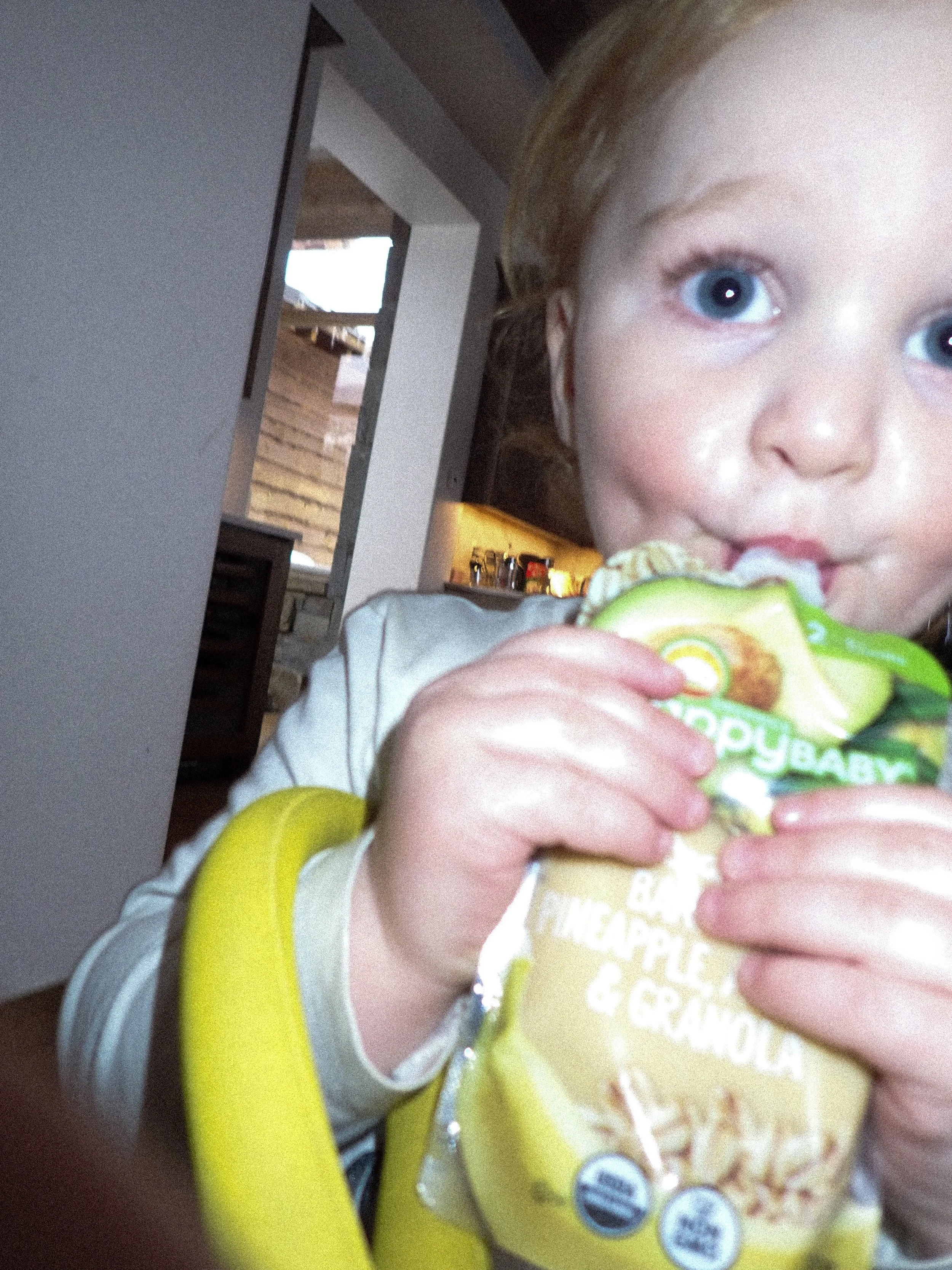 YC VGJ II-2090285.jpg