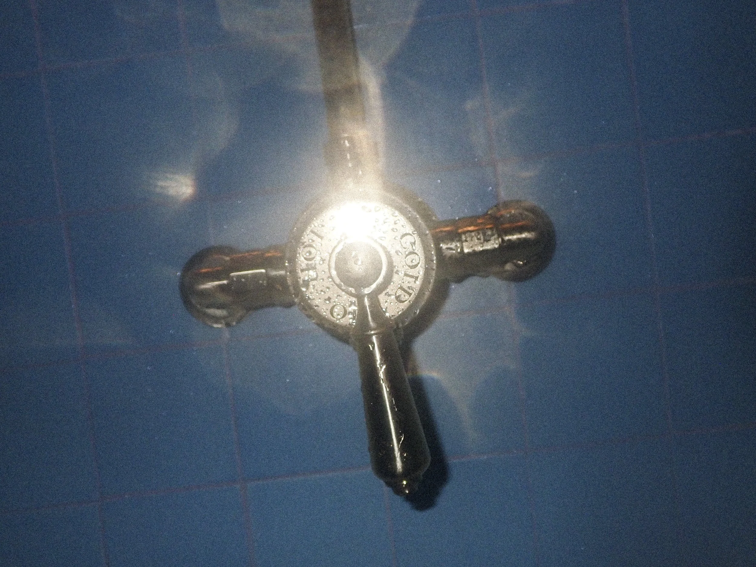 YC VGJ II-2090392.jpg