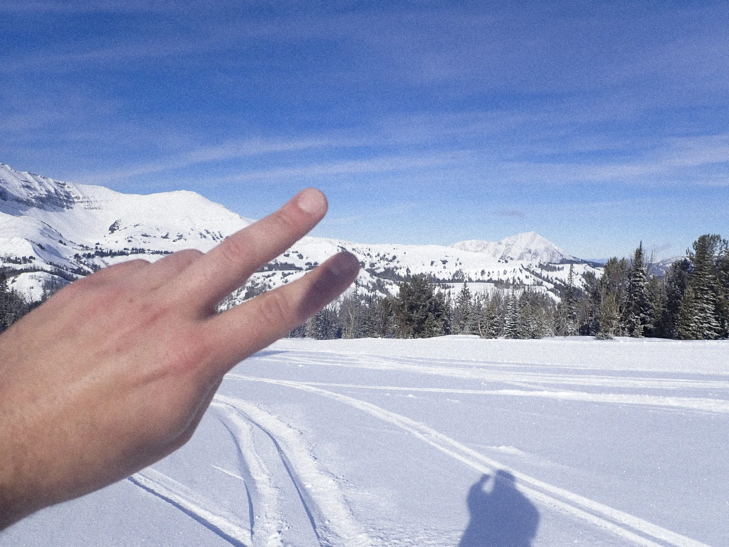 YC VGJ II-2100401.jpg