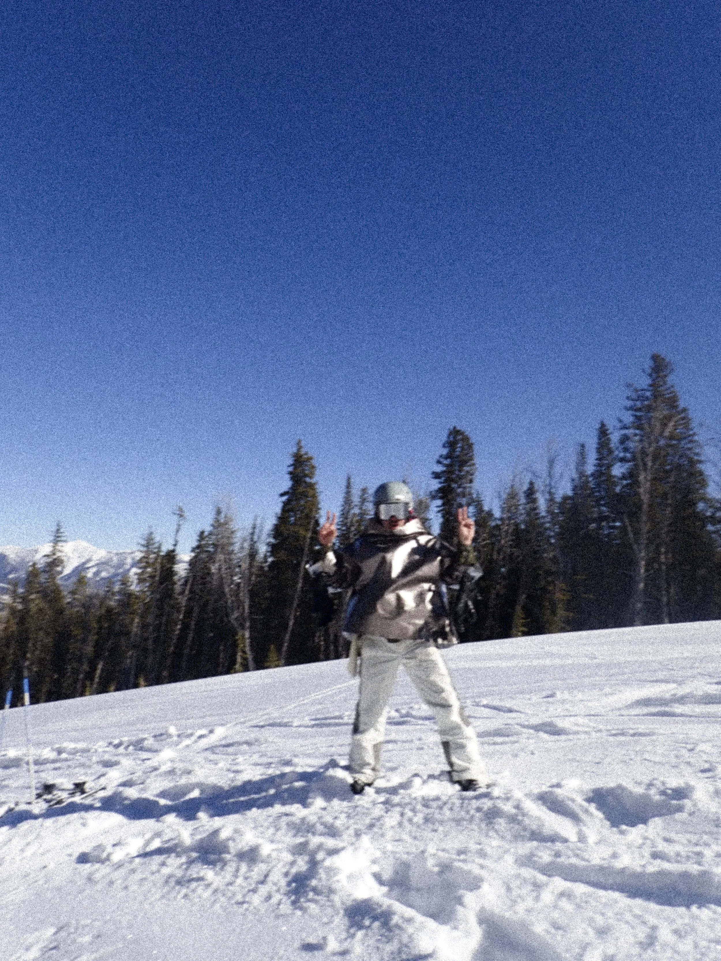 YC VGJ II-2120623.jpg