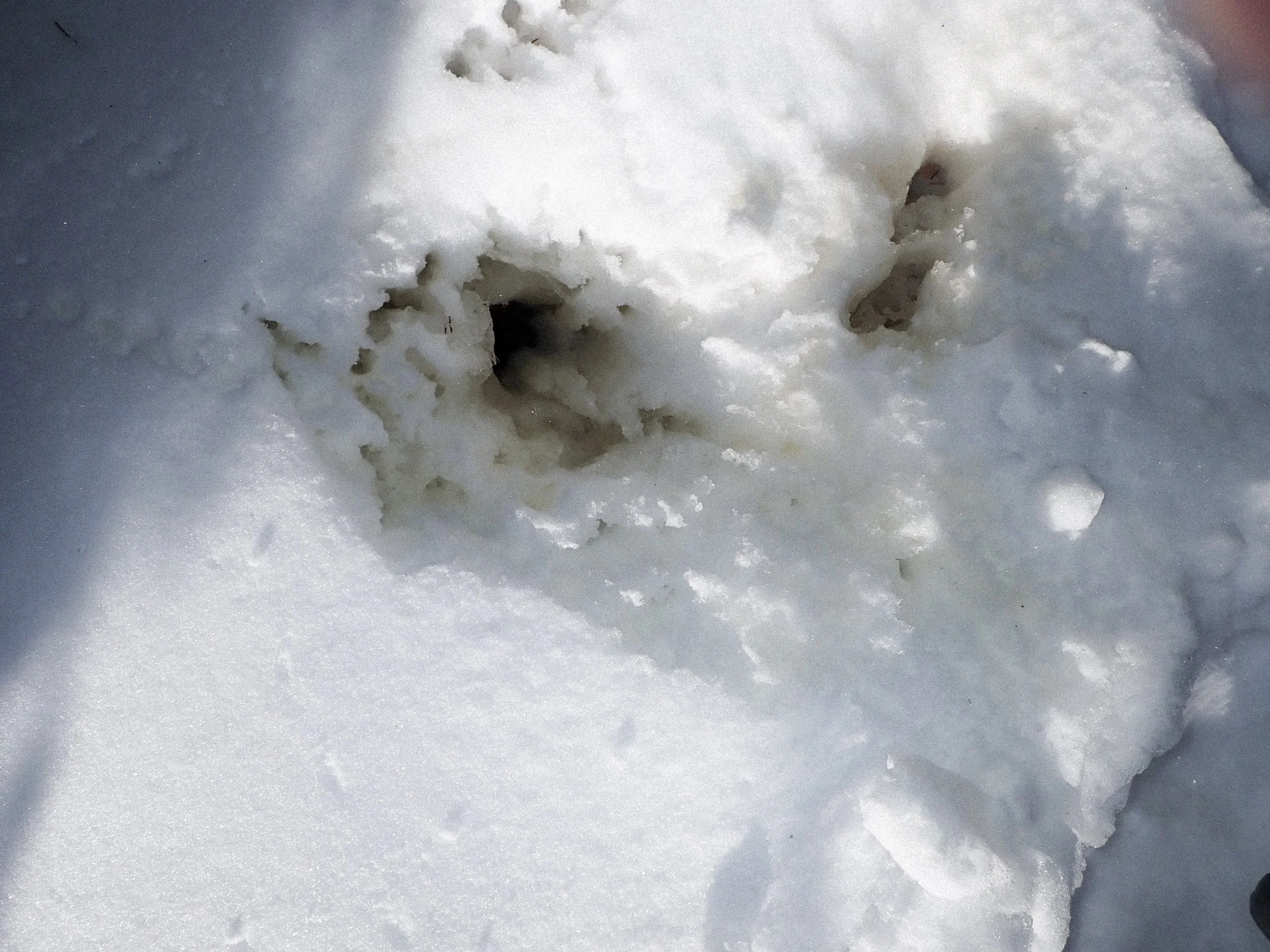 YC VGJ II-2120642.jpg