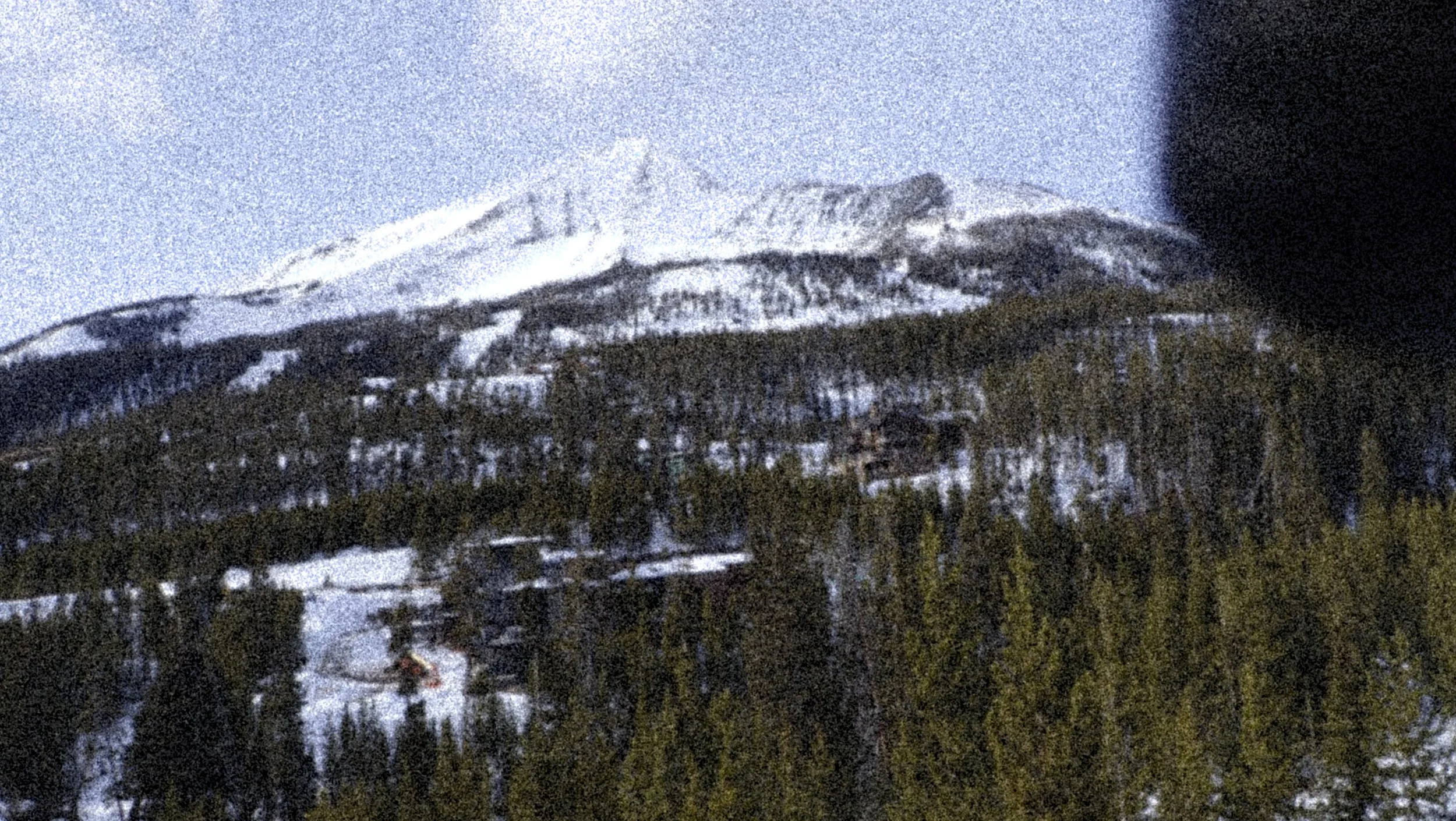 YC VGJ II-2140691.jpg