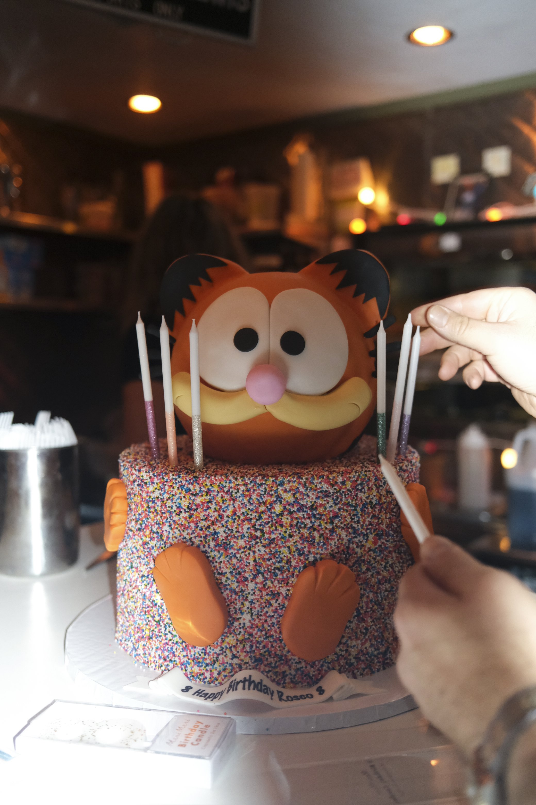 ROSCO VGJ II-6222.jpg