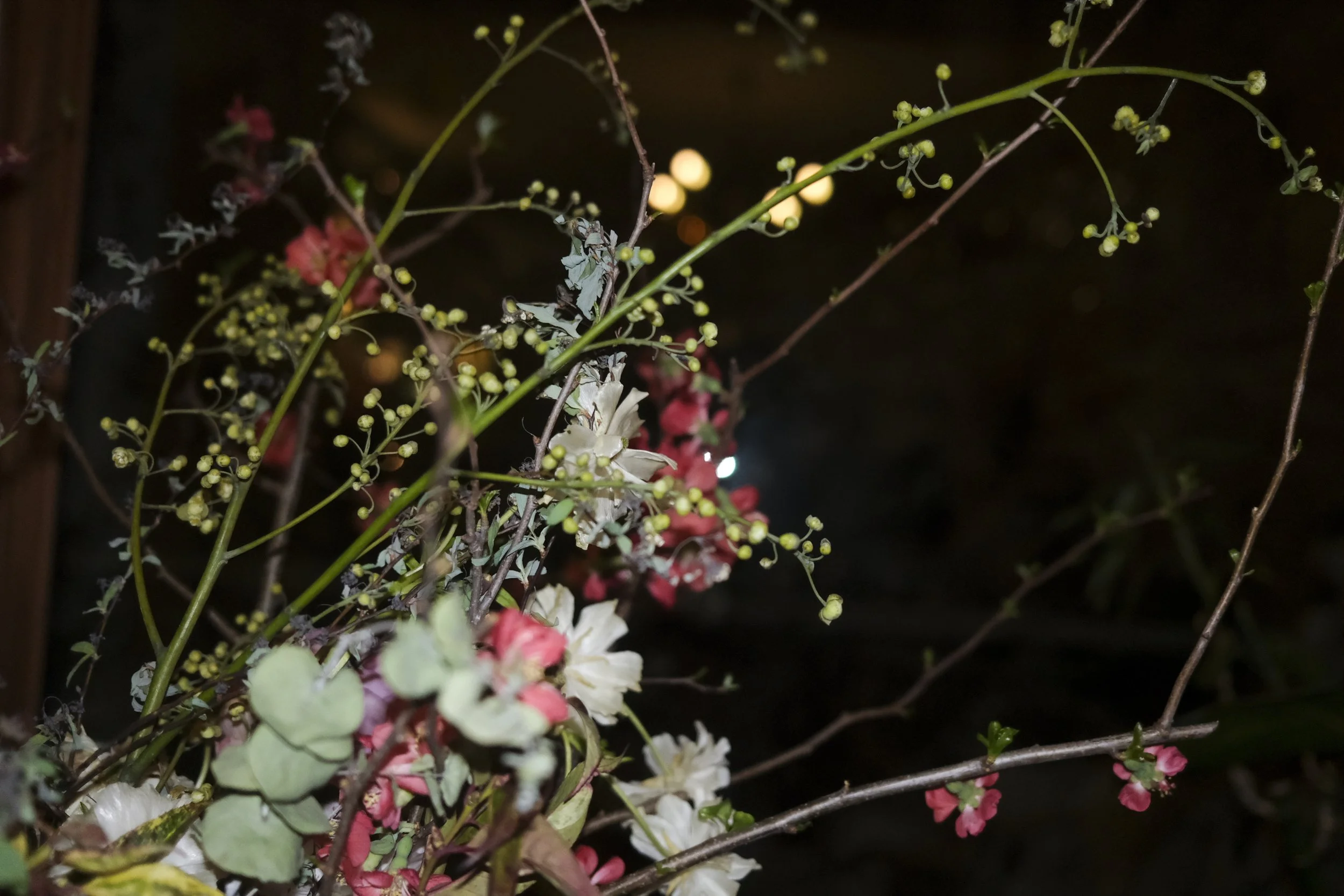 ROSCO VGJ II-6374.jpg