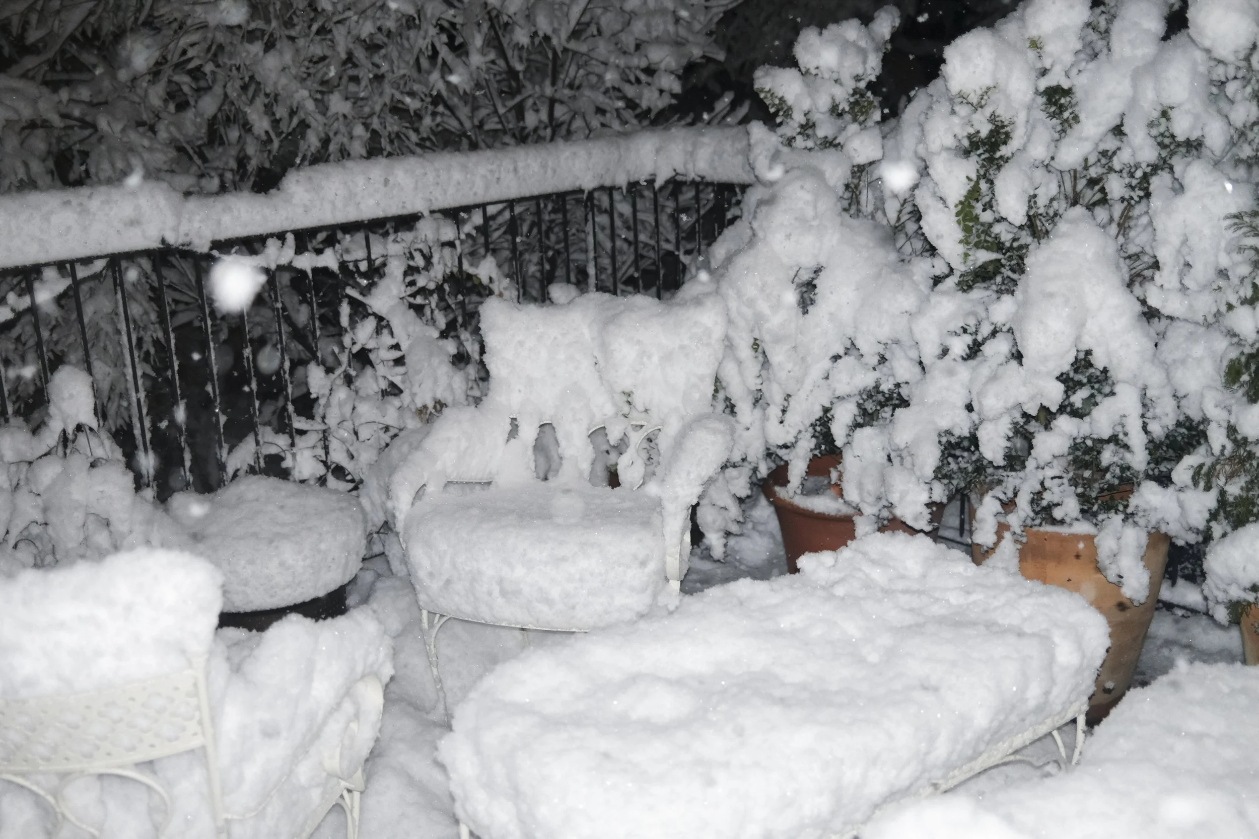 ROSCO VGJ II-6429.jpg