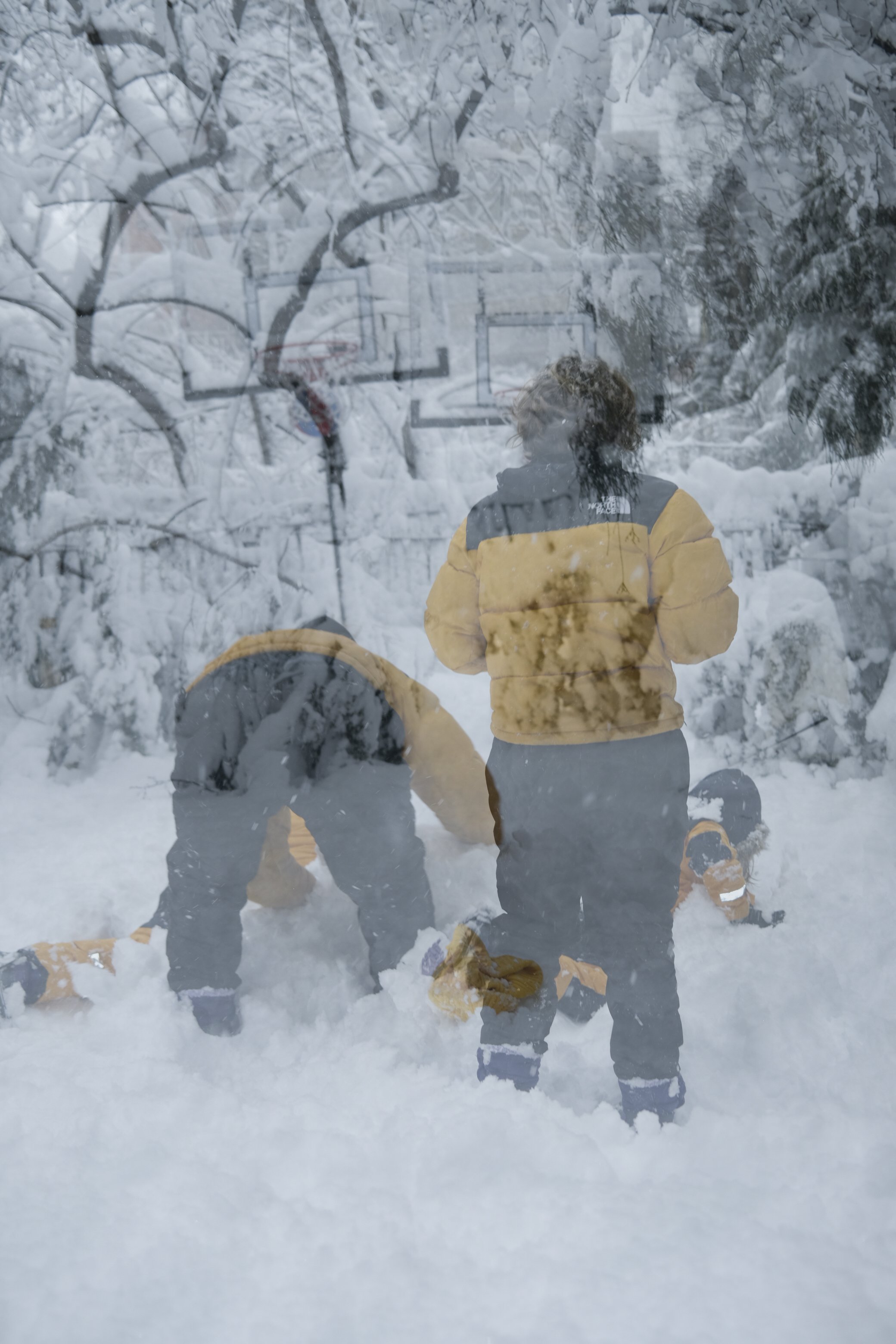 ROSCO VGJ II-6449.jpg