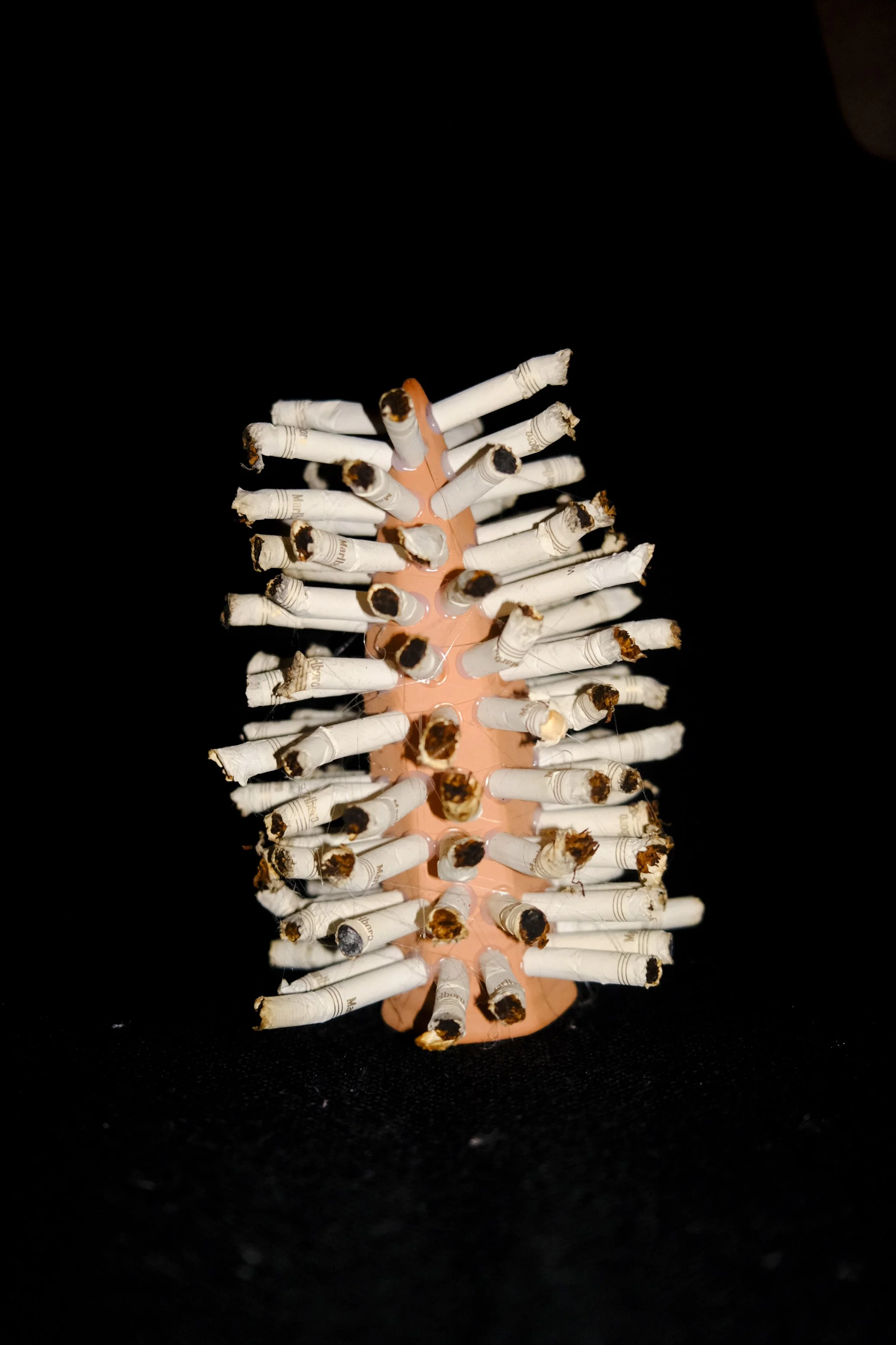 RANDOM Q1 VGJ II-5798.jpg