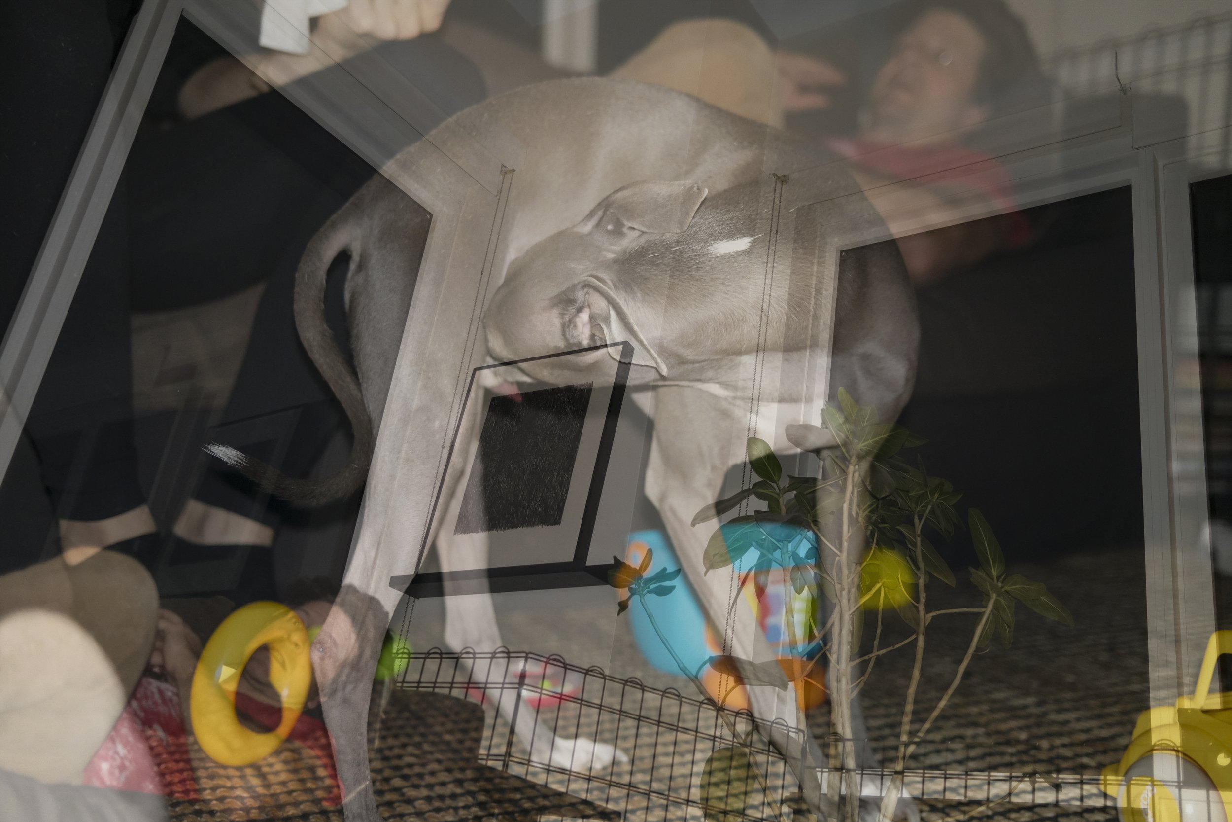 LOUDEN VGJ II-5481.jpg