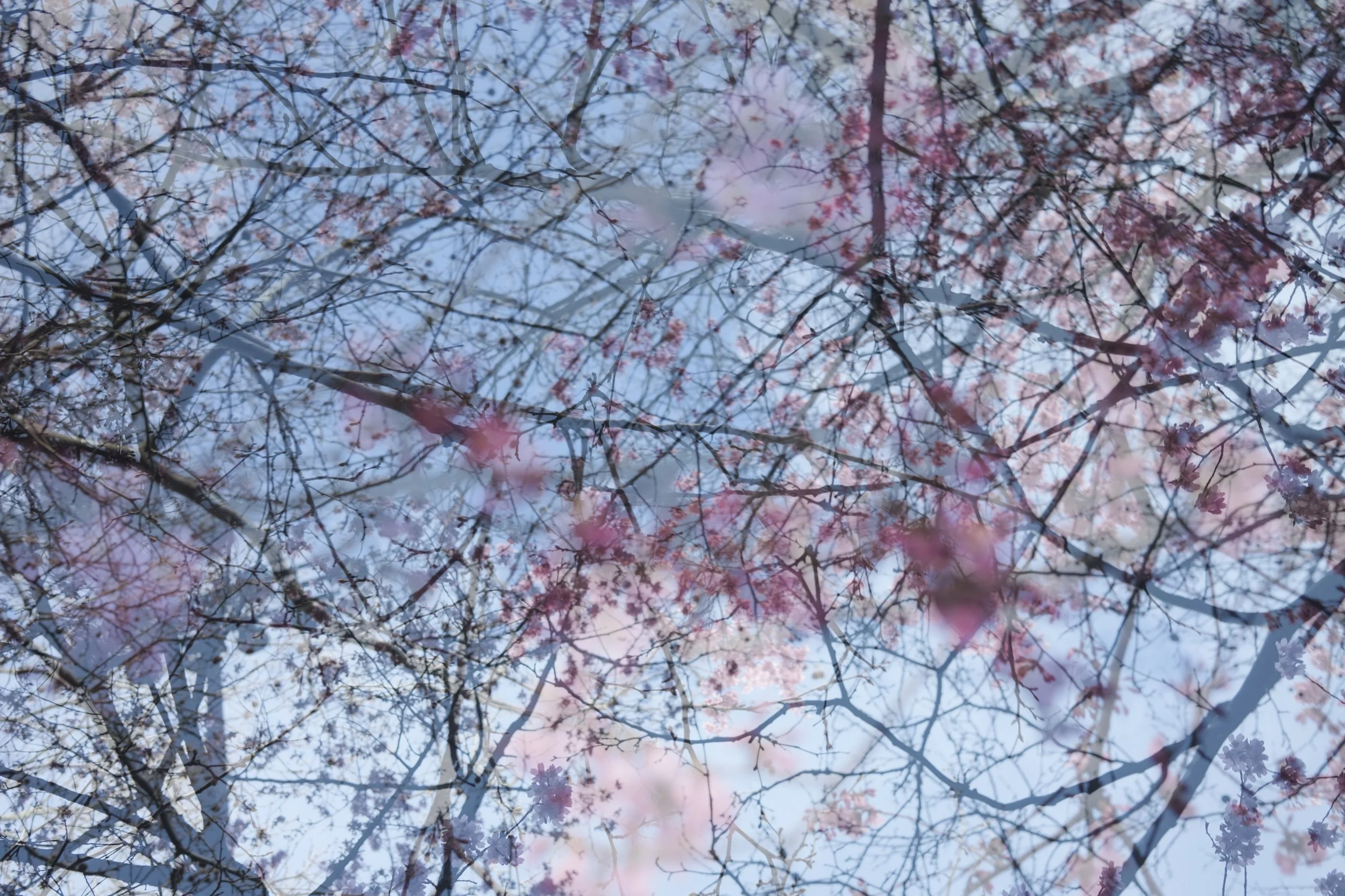 LOUDEN VGJ II-7794.jpg