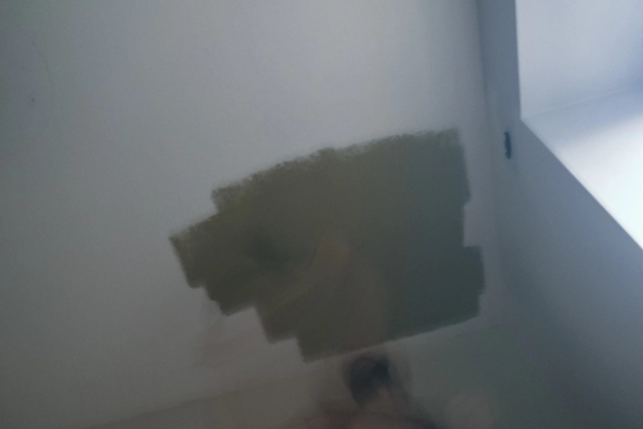 JACOB PAINTING, VGJ II-8689.jpg