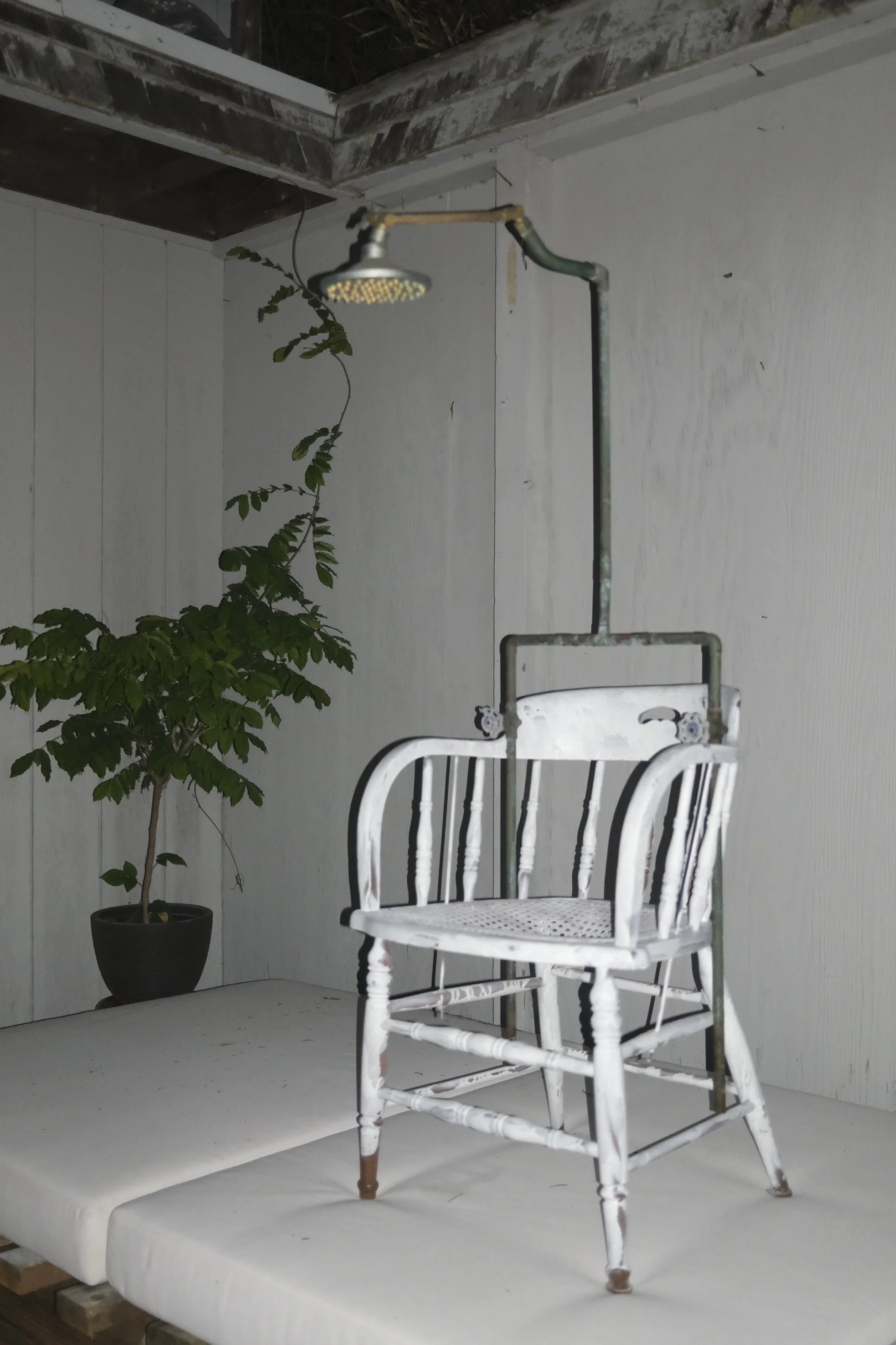 FIP JUNE VGJII-9583.jpg