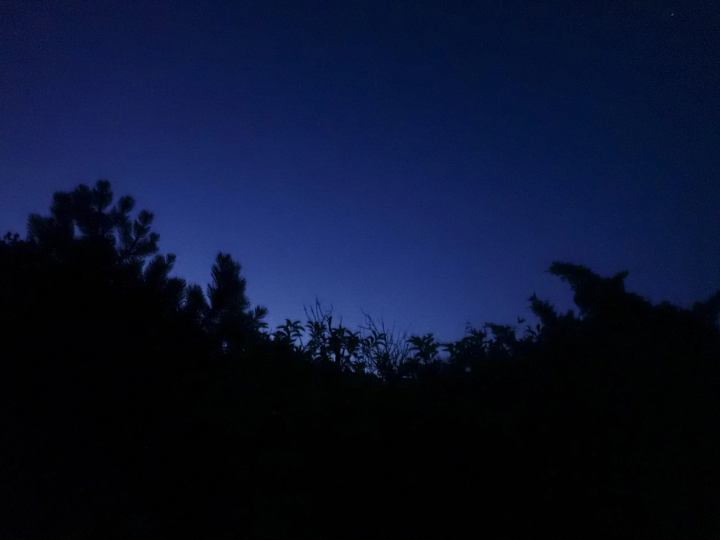 JULY 4 VGJ II-7041226.jpg