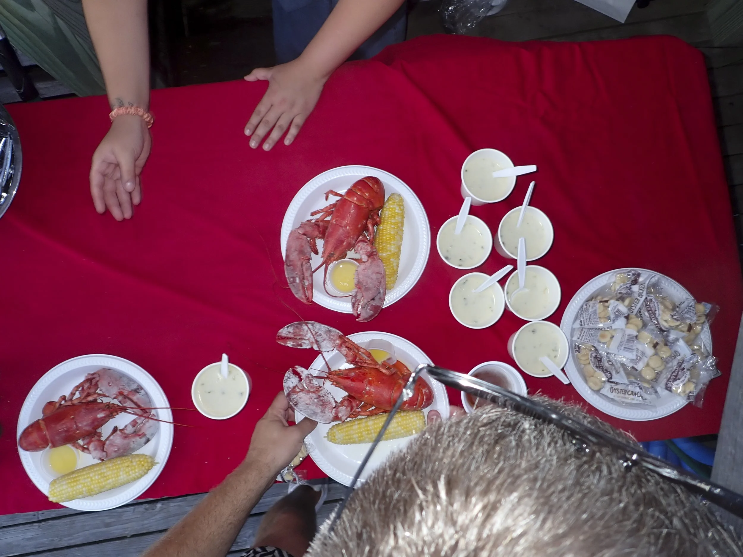 JULY 4 VGJ II-7051373.jpg