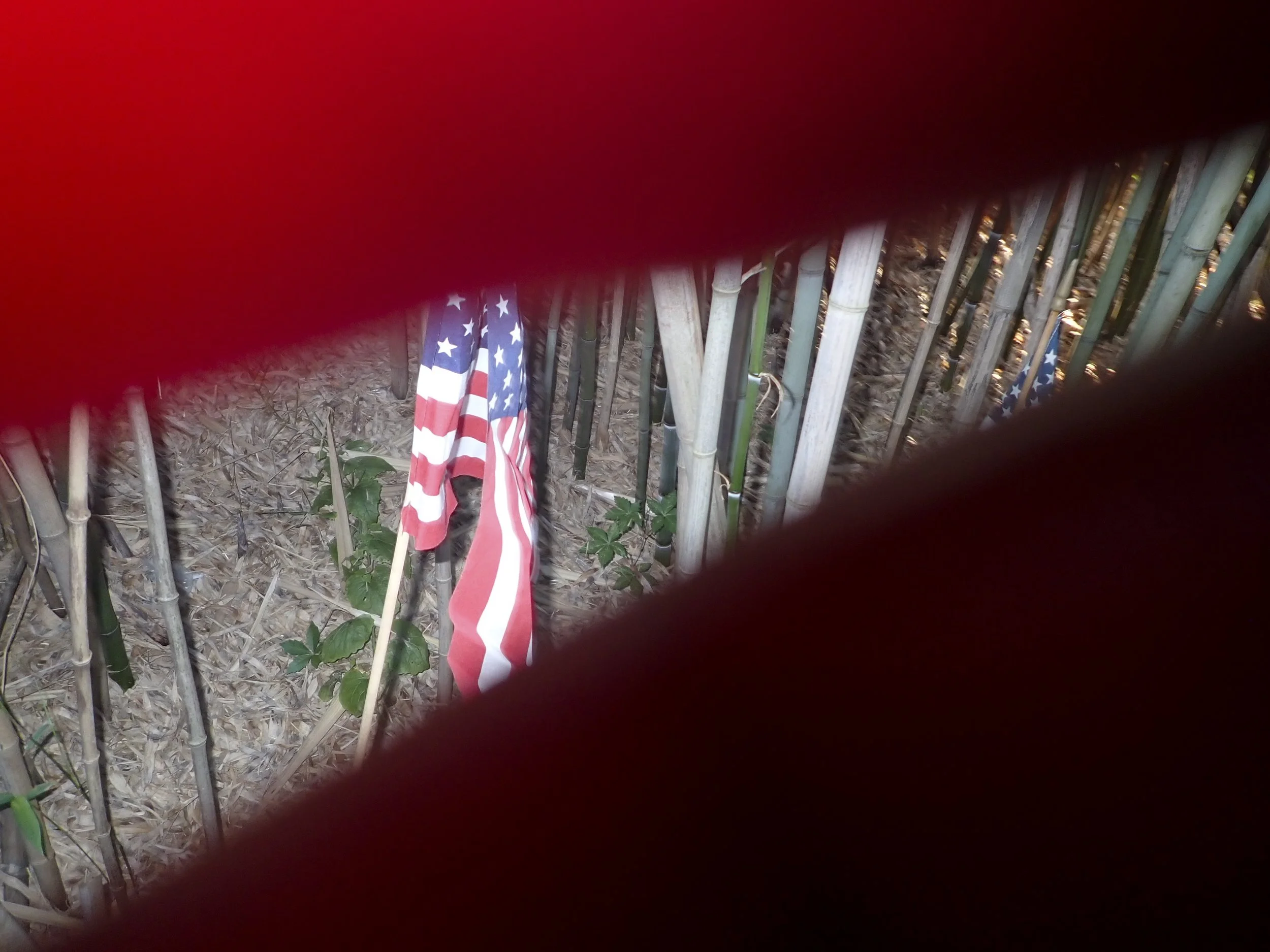 JULY 4 VGJ II-7051395.jpg