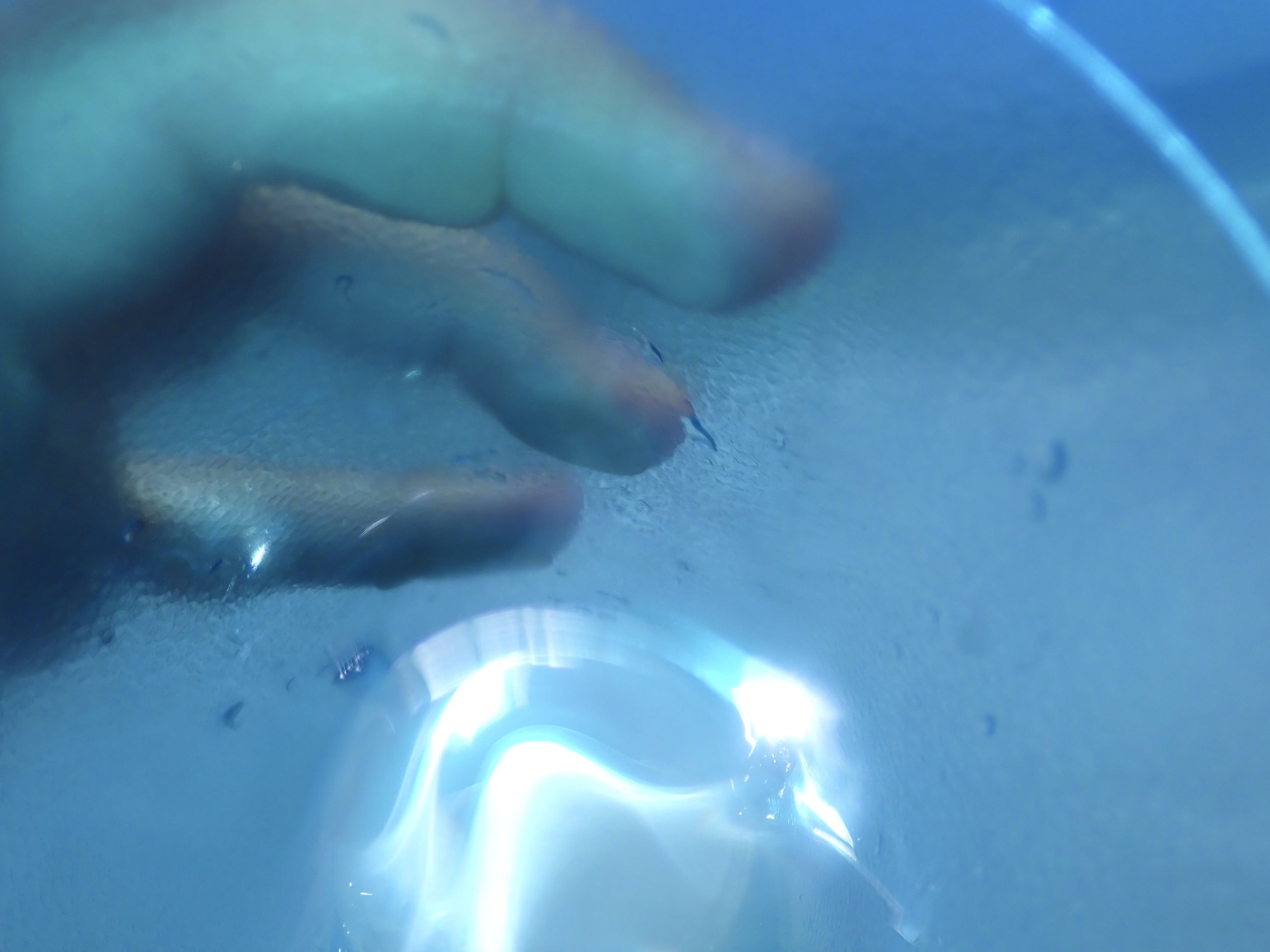 FIP JULY VGJ II-7091732.jpg