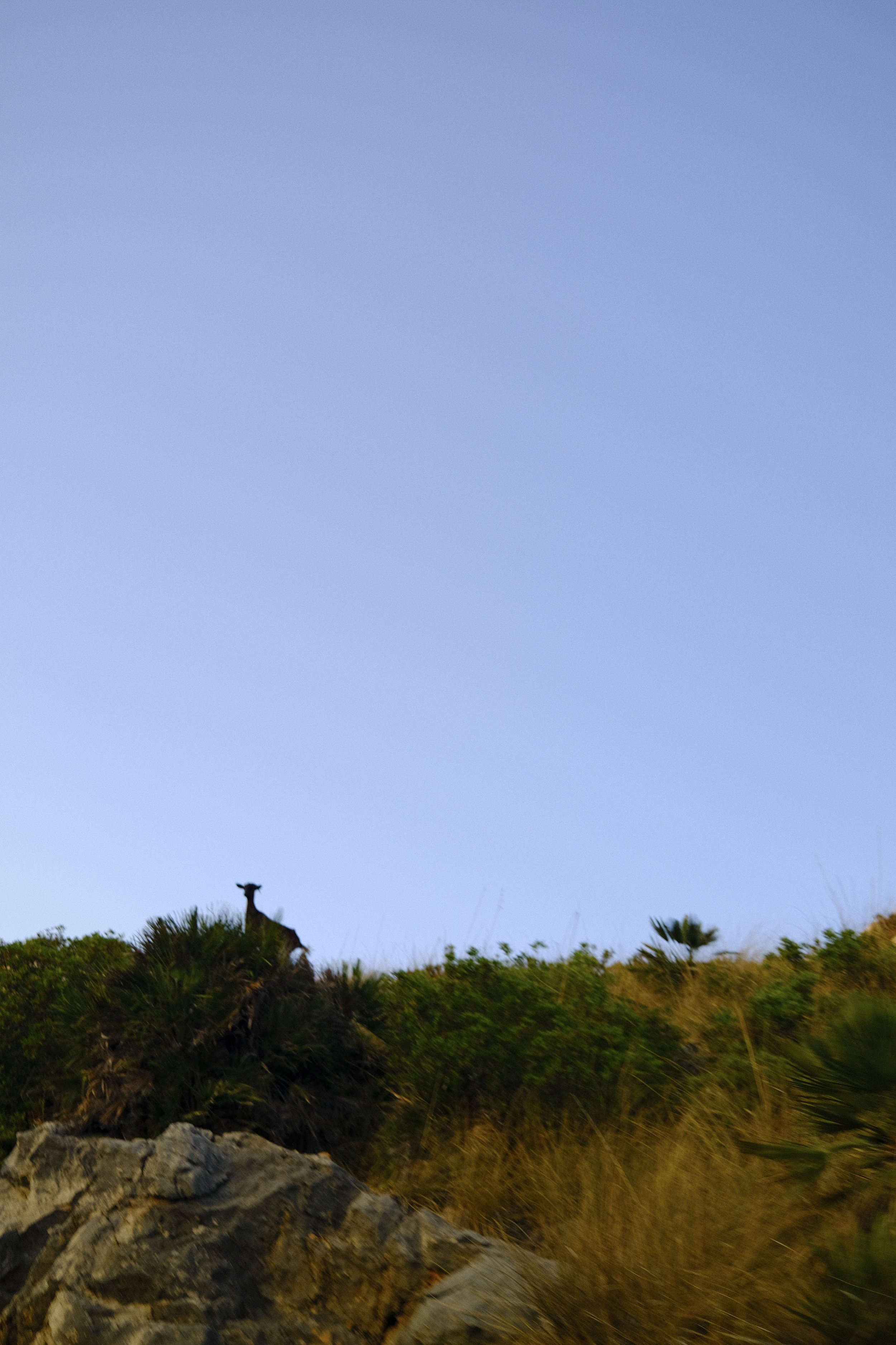 MALLORCA VGJ II-0515.jpg