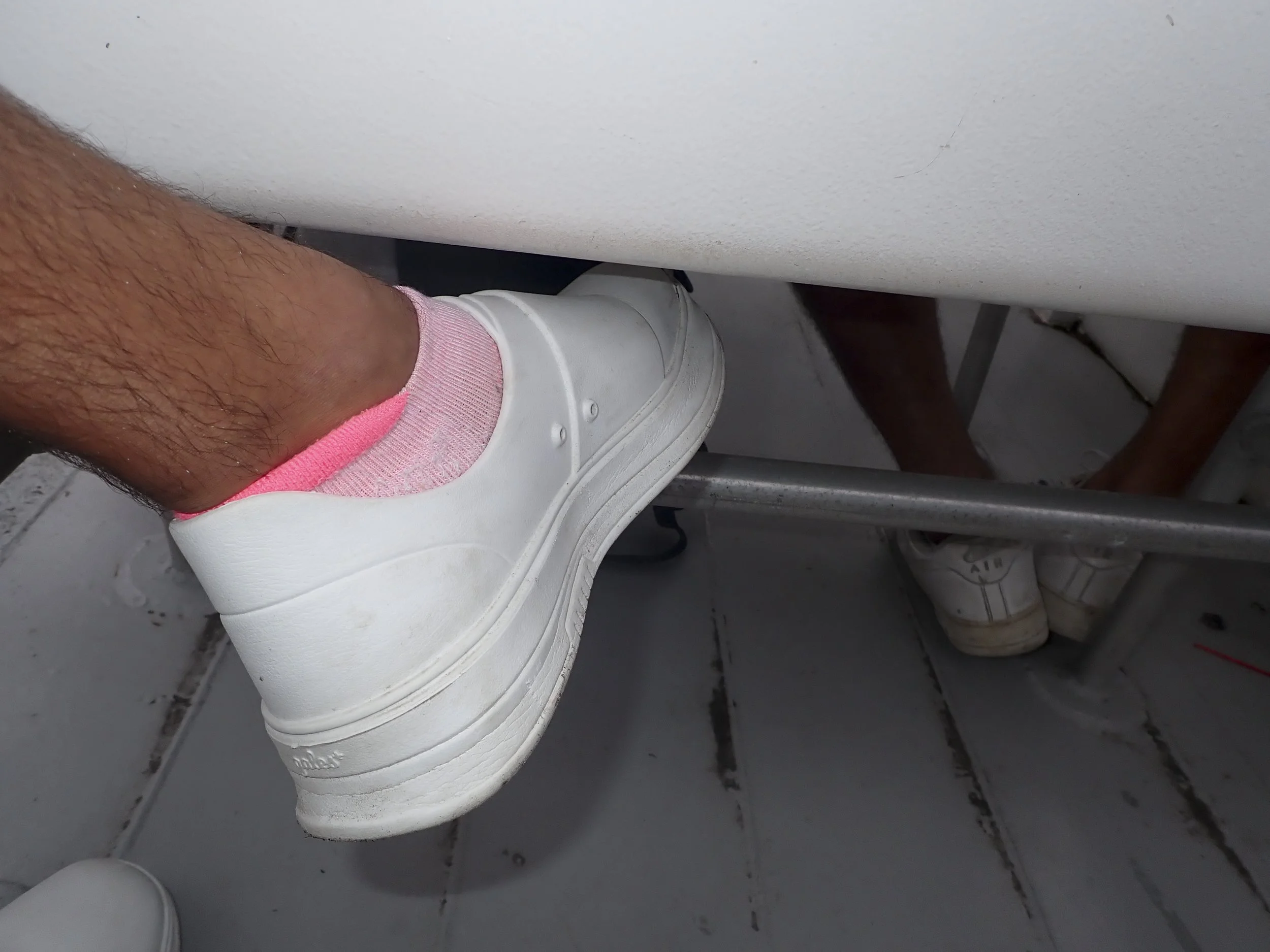 FIP AUG VGJ II-8224205.jpg