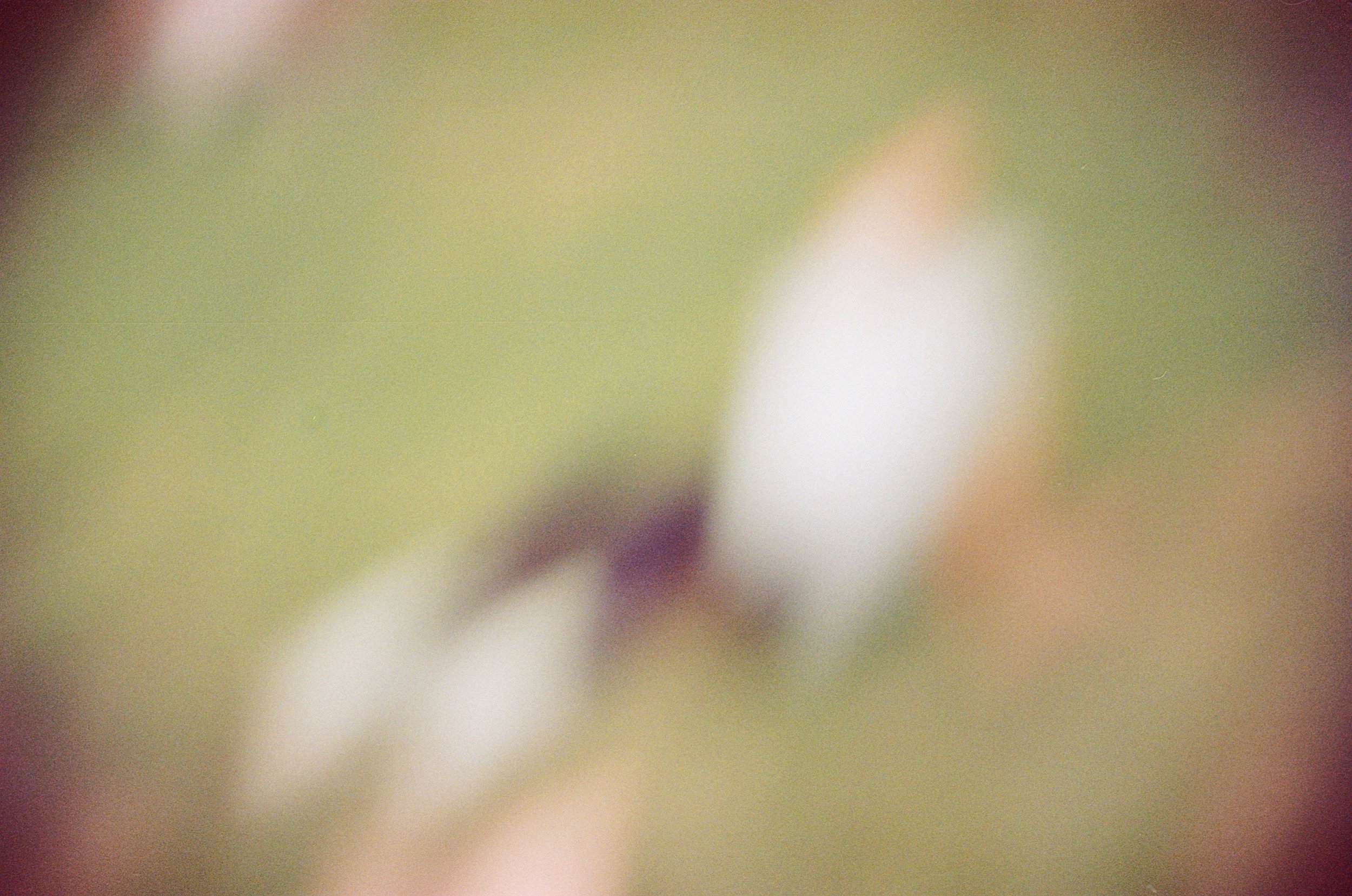000318530027.jpg