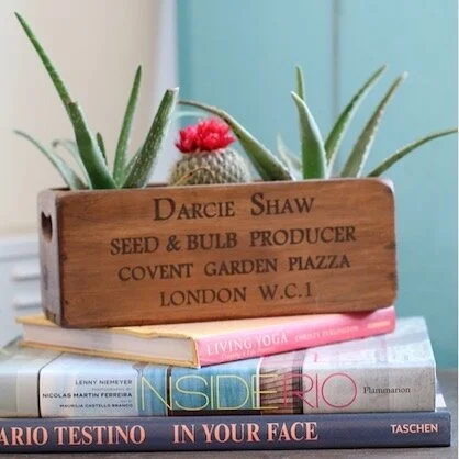 Sorry guys I have PLANTS this weekend💁🏻&zwj;♀️🌵