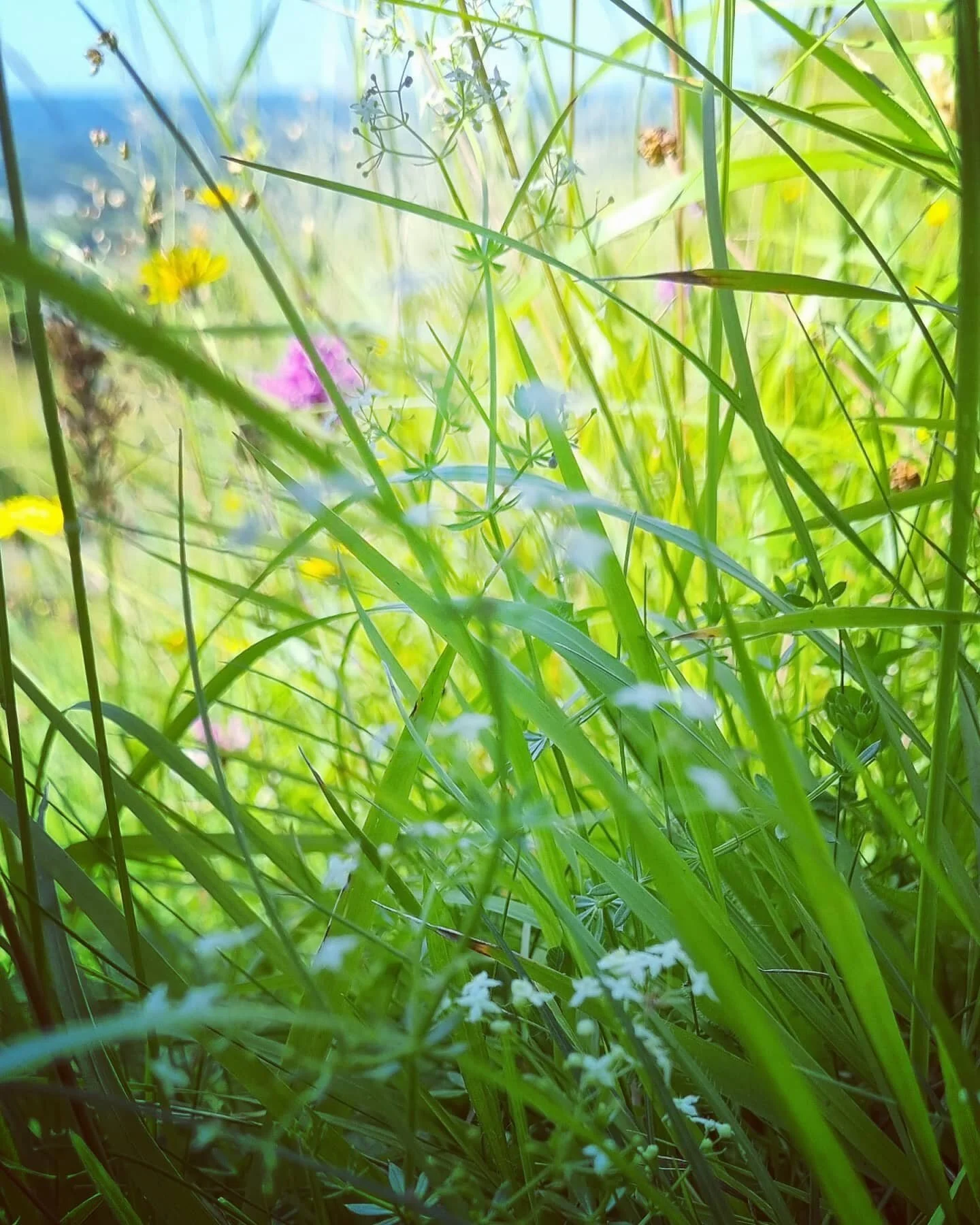 True healers are rare
But the gift of healing lies within all of us.
Some will use insence and cards and candles and 'things'. 
My Teacher showed me how to hear with the heart, to walk in nature for opening up the soul, or to soothe its troubles with