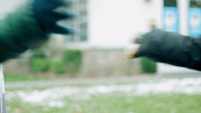 sunbutter - friends - gif.gif