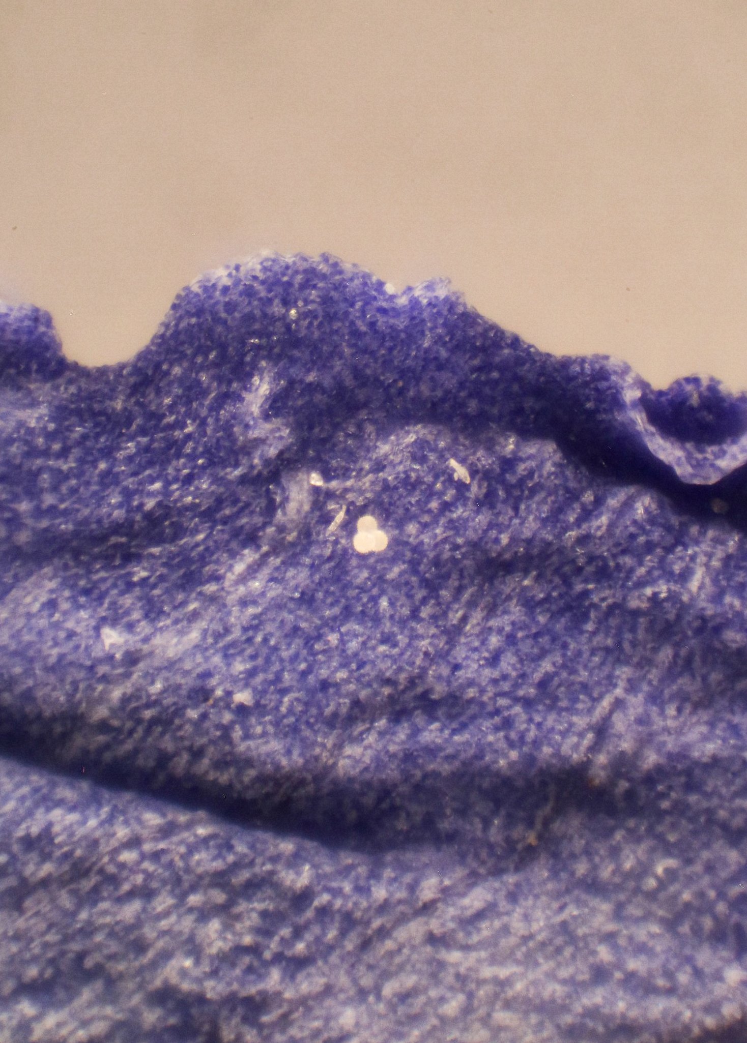2022-09-13-07.36.26 ZS PMax-2.jpg