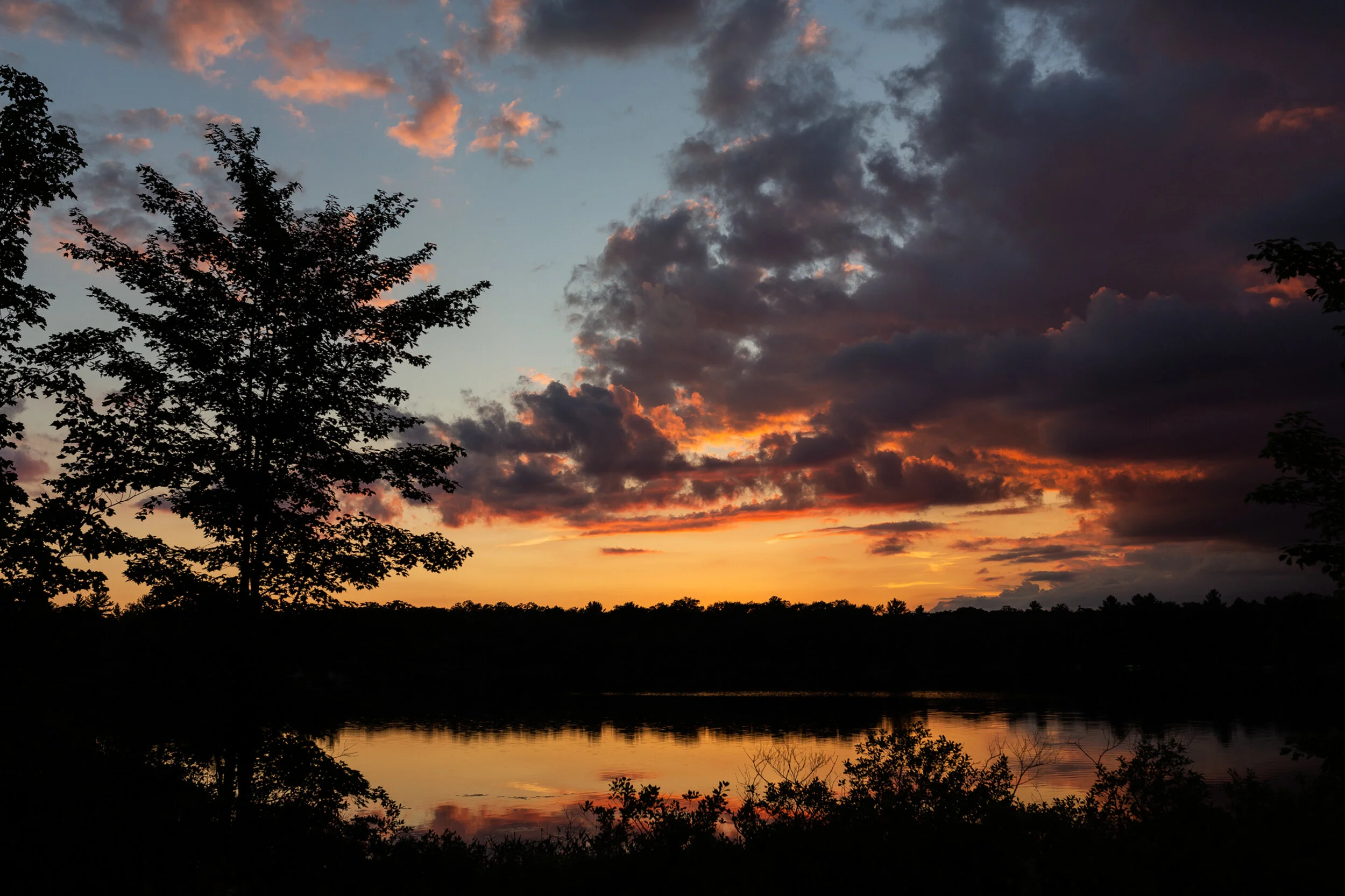 GI2_6381.jpg