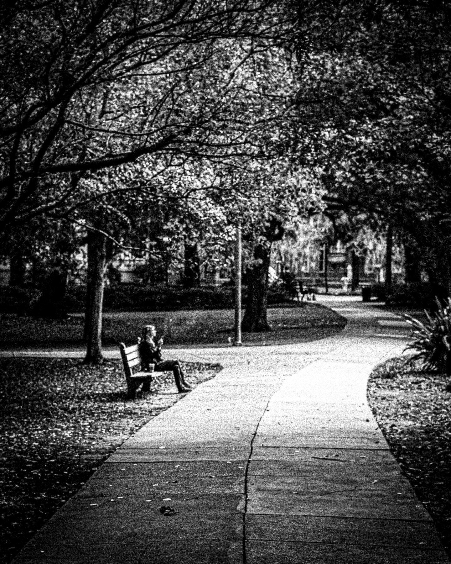 Savannah, GA Forsythe Park Nov. 2023

- - - - - - - - - - - - - - - - - - - -

#bnw #bnwphotography #photography #photo #instablackandwhite #instadaily #instaphoto #sonya7iii #sonyalpha #photographie #blackandwhite #aesthetic #grayscale #photographer