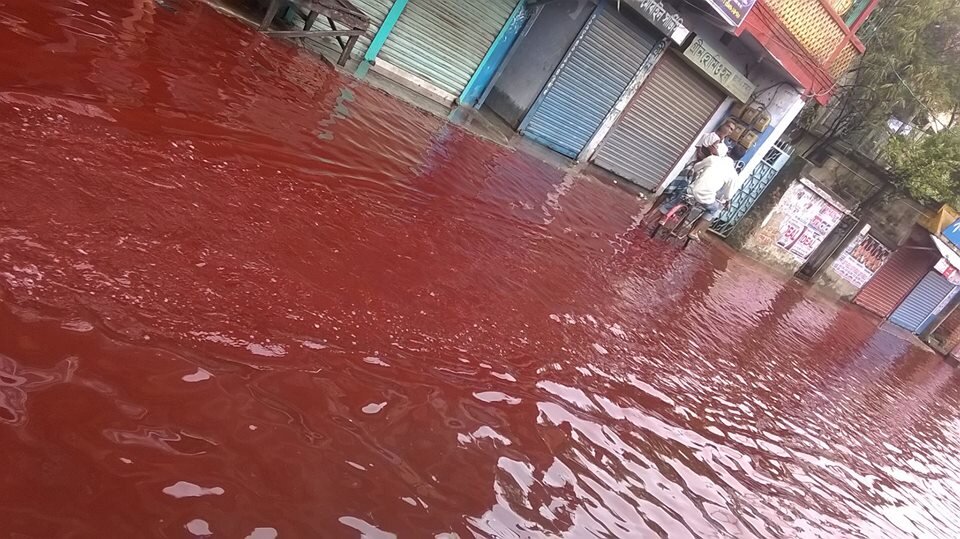 The streets of Kerala, flooded with the mysterious red rain