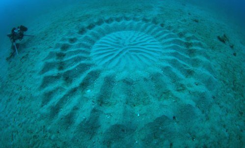 A strange symbol found on the ocean floor