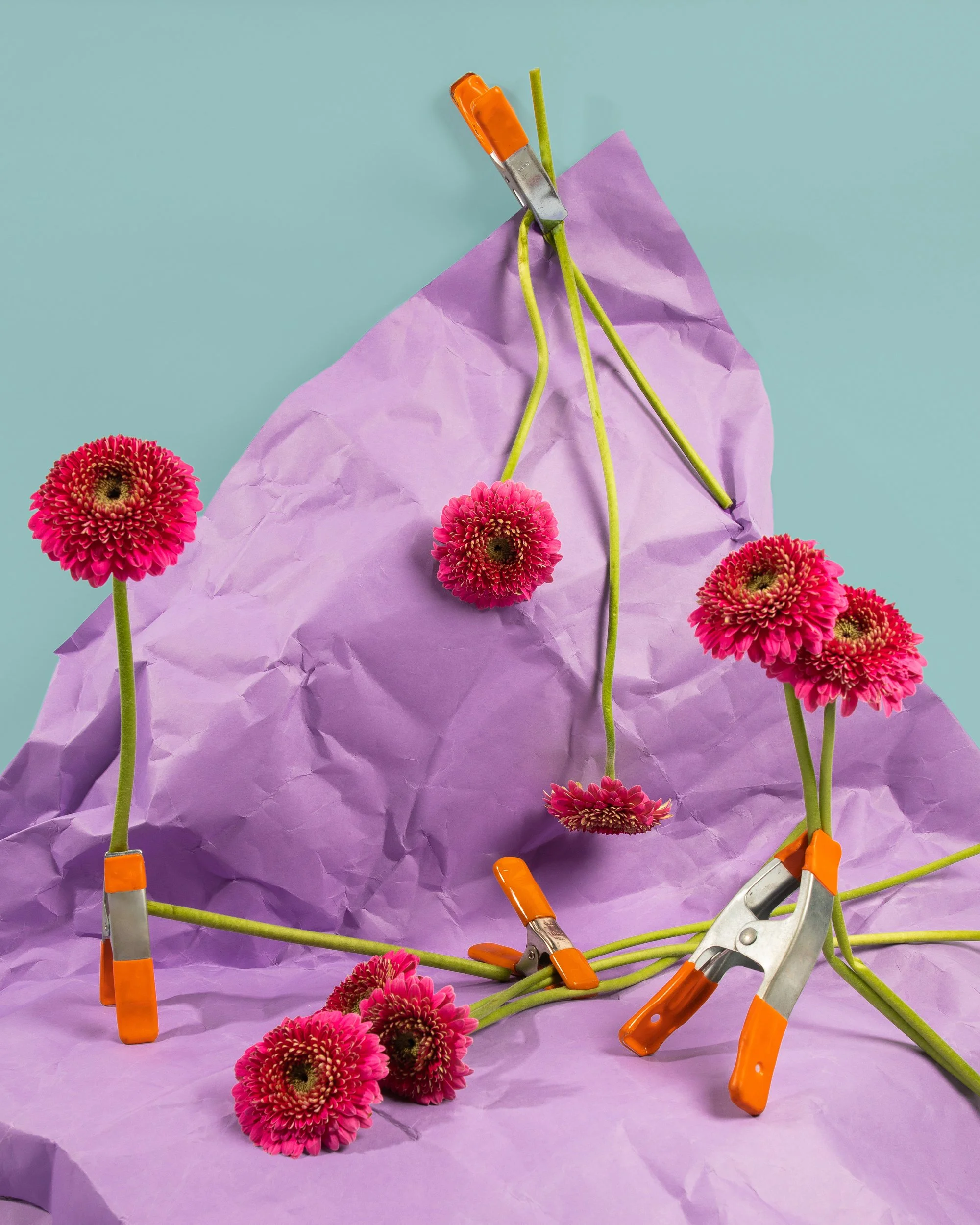 Studio with Sam-1_edited copy.jpg