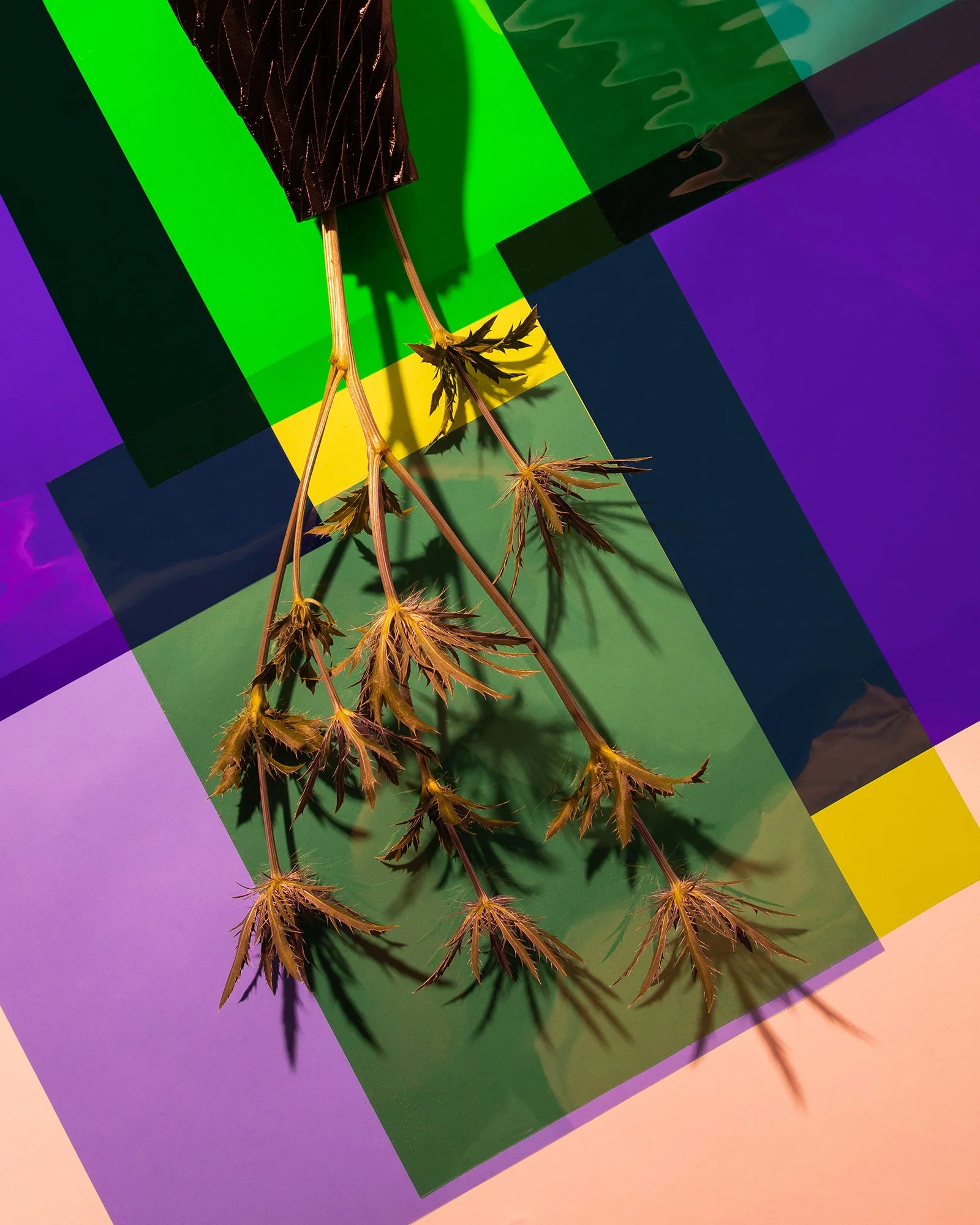 Final Neon spring copy.jpg