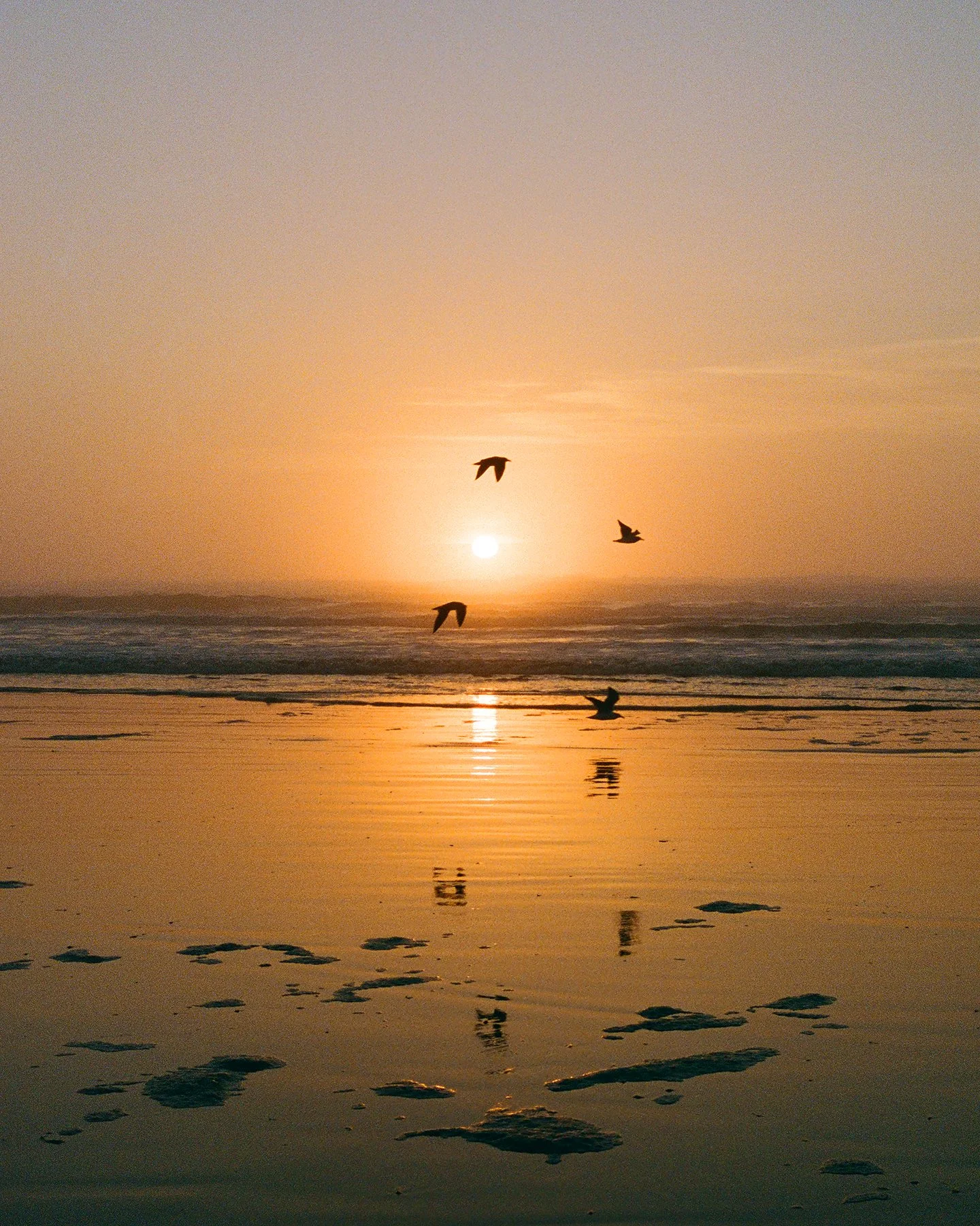 000047630003 copy.jpg