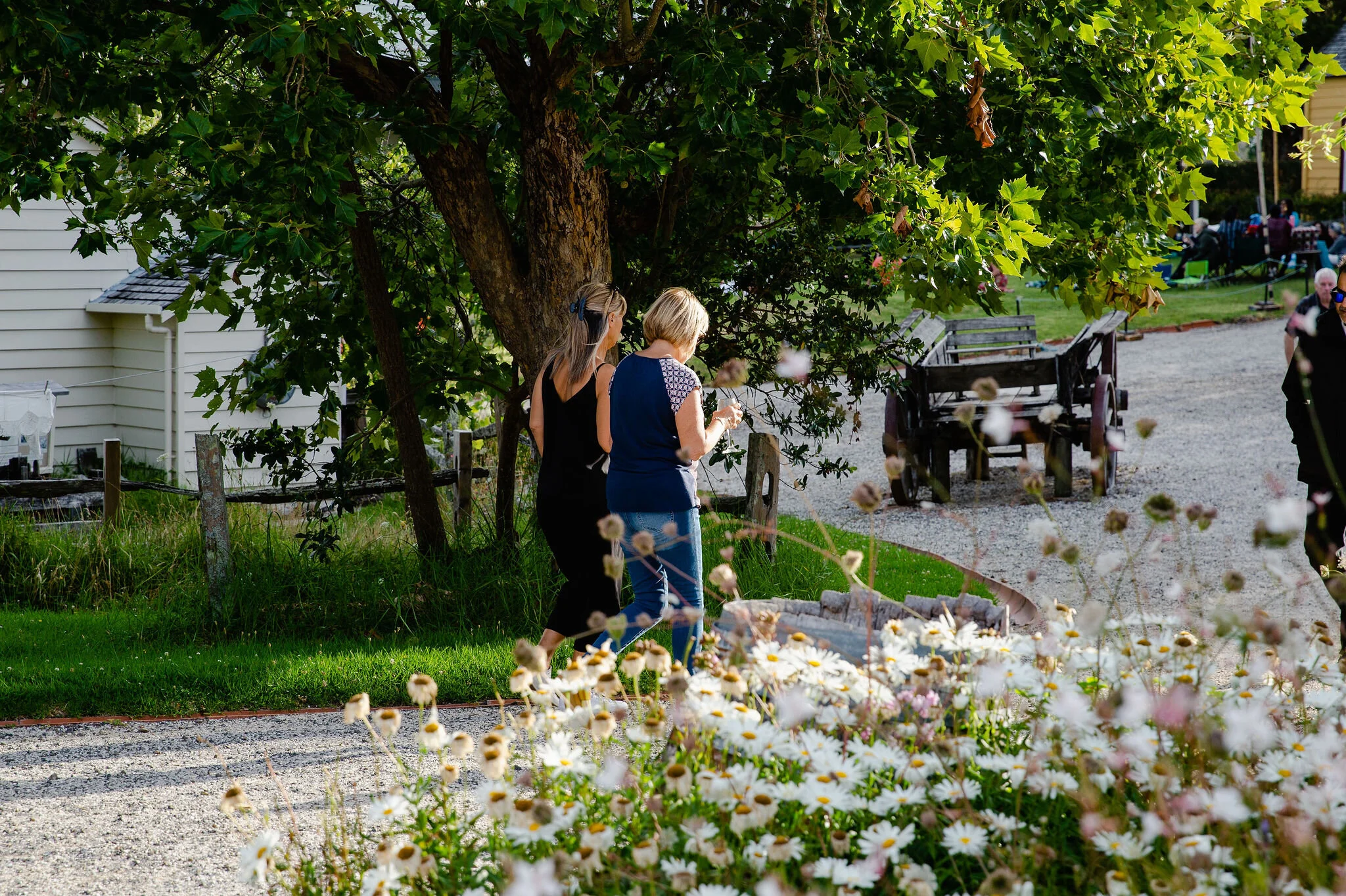 Two women walking on a gravel path near a tree and a wooden cart, surrounded by daisies and greenery.