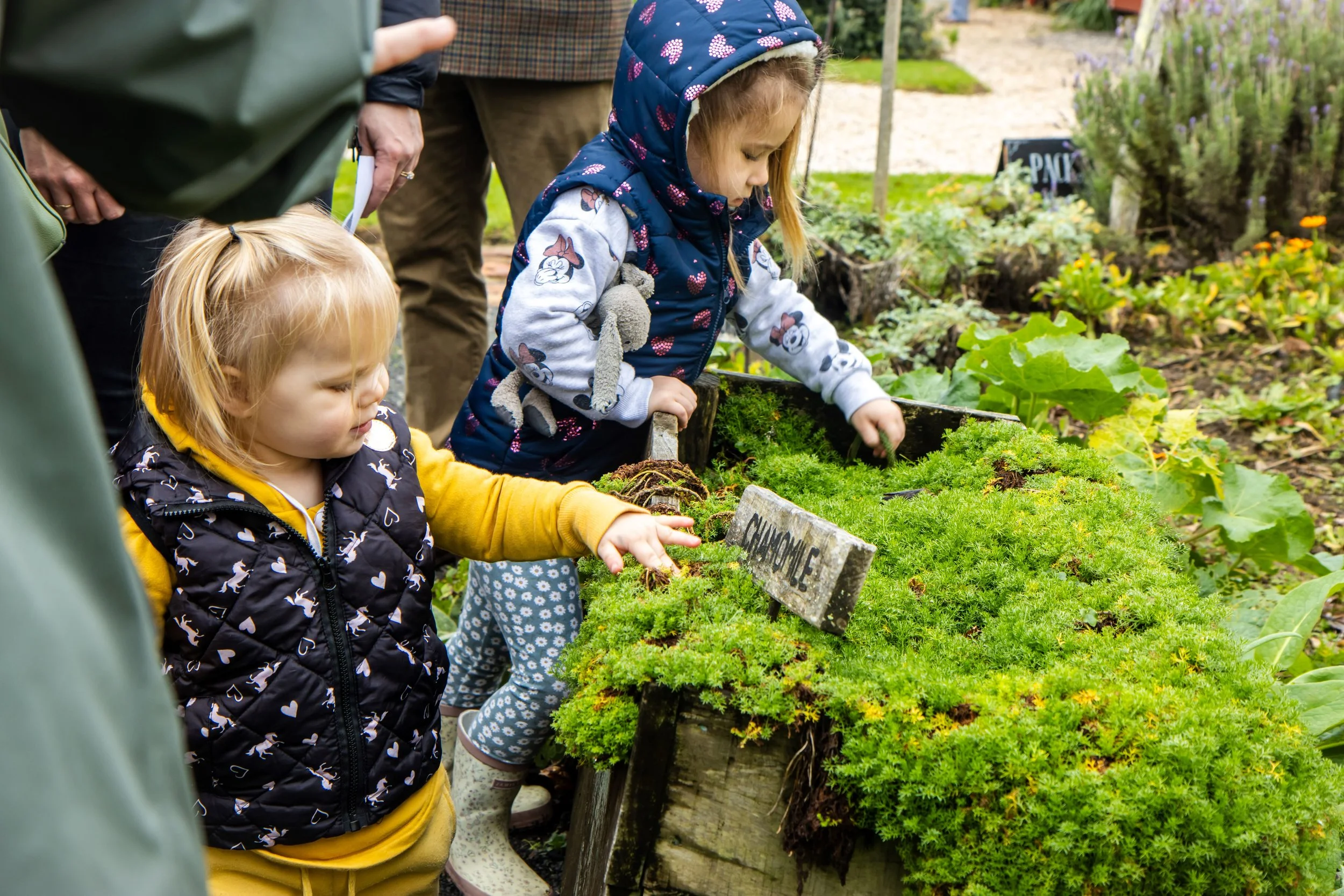 Two young girls, one with a yellow jacket and the other with a blue hat, are at a garden display examining plants. There is a sign that says 'CILANTRO'. Adults are nearby observing the children.