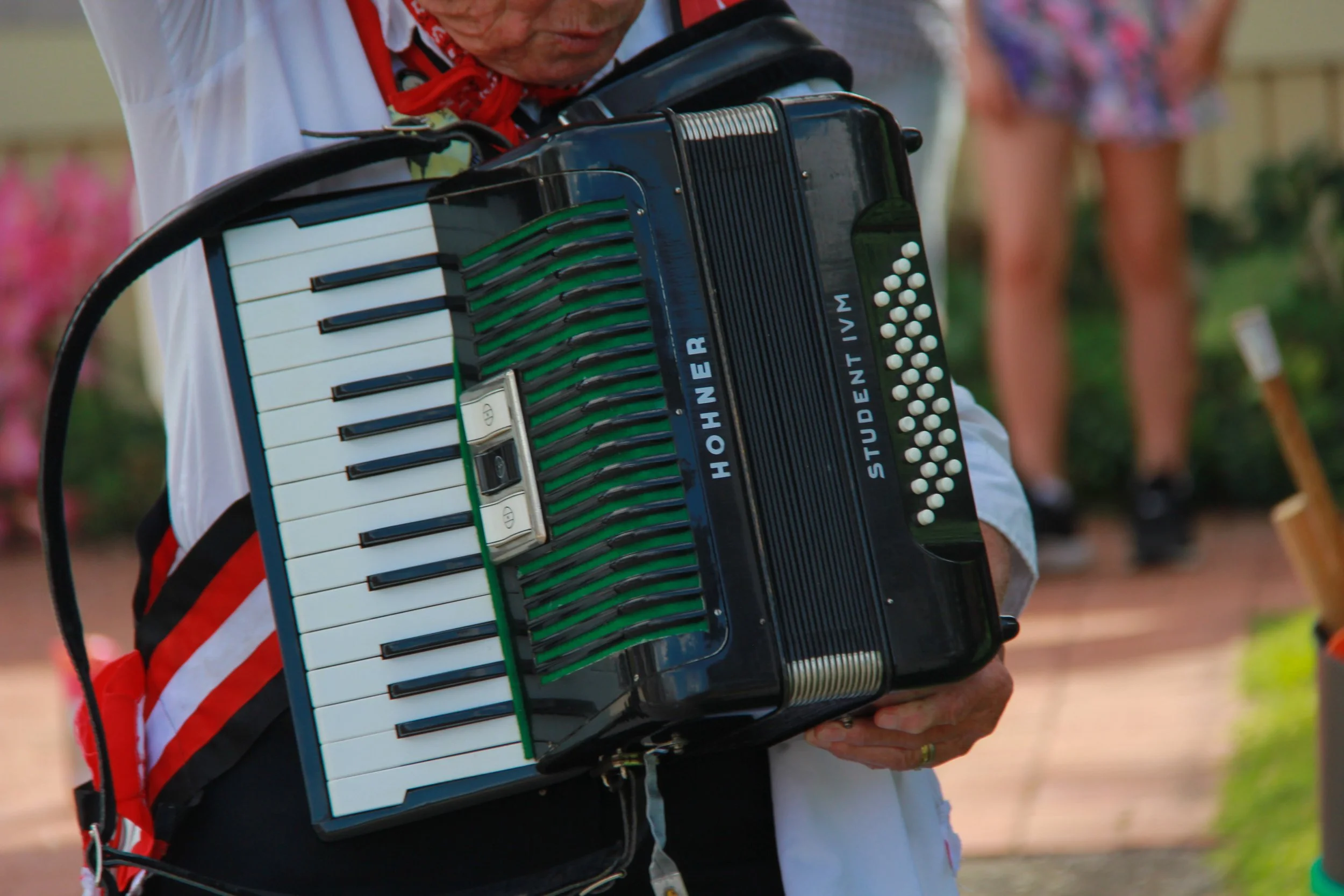 Close-up of a person playing a black accordion with white and black keys labeled 'Hohner' and 'Studientivm', outdoors with a background of people and greenery.