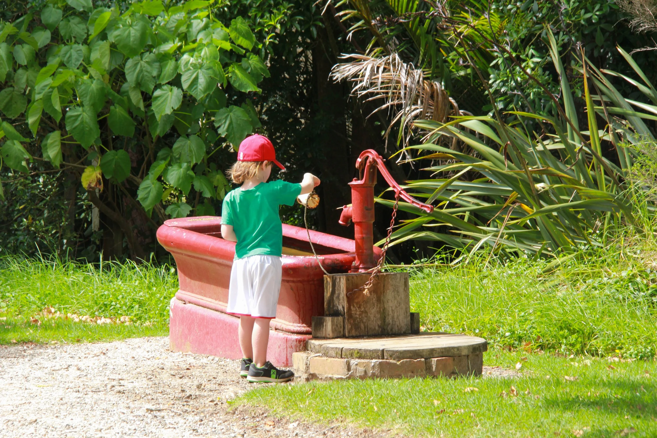 Young child wearing a red cap and green shirt, playing with an old-fashioned red water pump connected to a large pink container outdoors on a grassy area, surrounded by lush green plants.